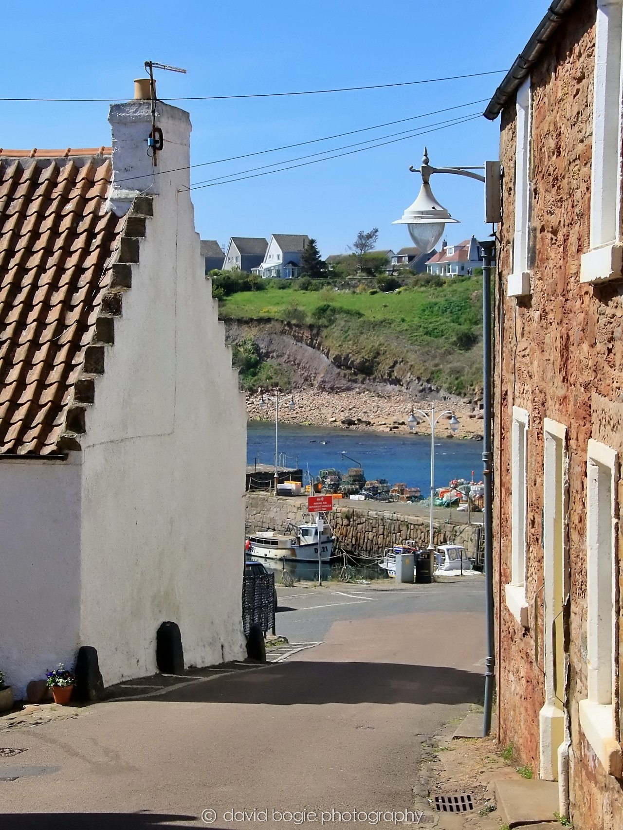 YEAR20250509 115038 Crail 0174.jpg