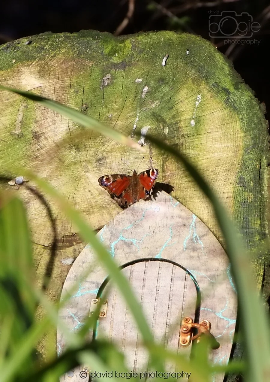 20260306 121208 Dunnikier 0543.jpg