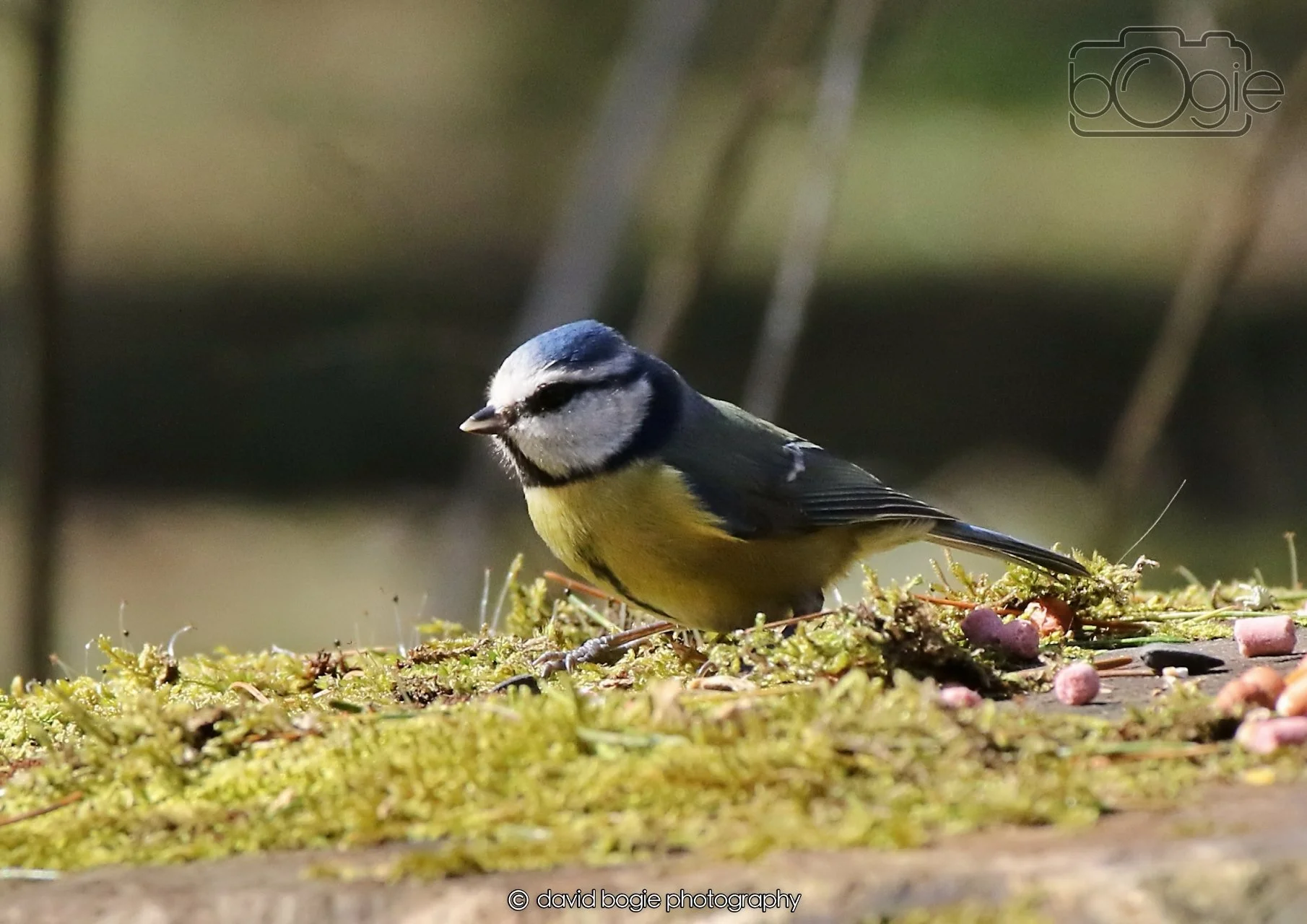 20260402 123655 Ravenscraig 0467.jpg