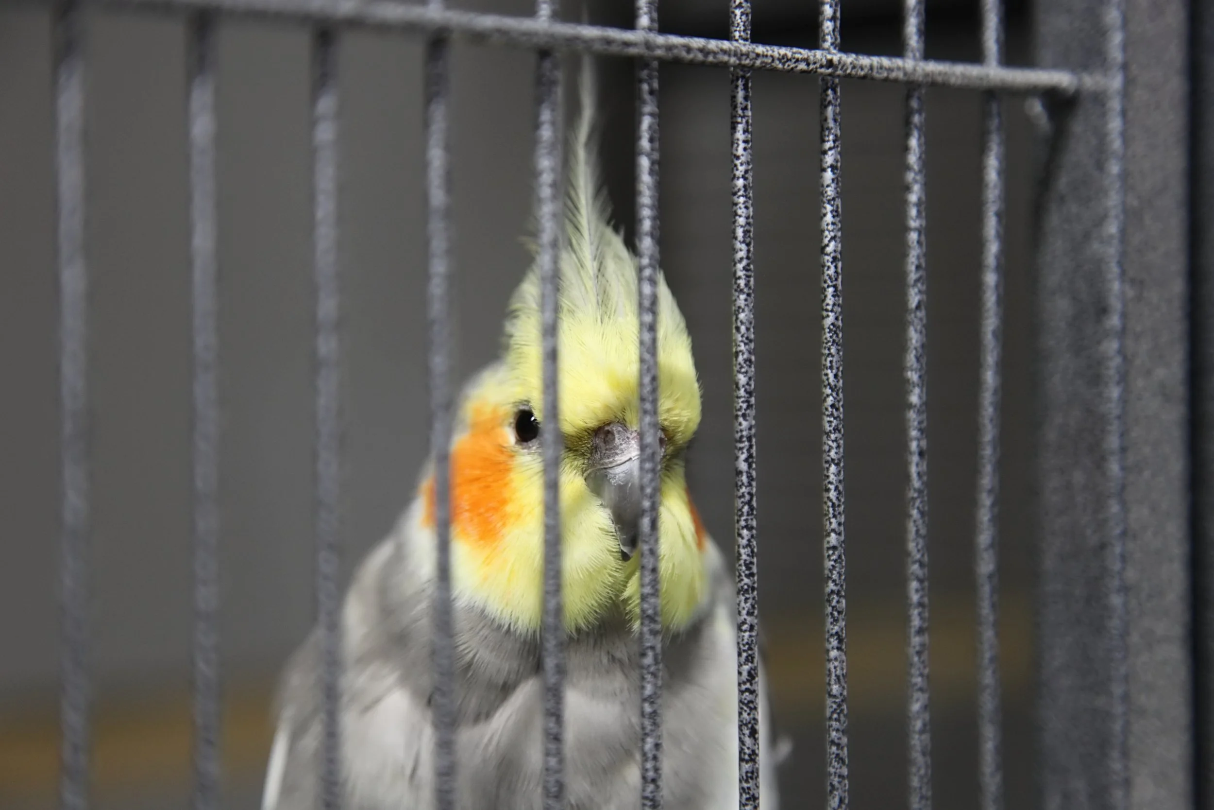 20260305 164725 K&S 0226.jpg