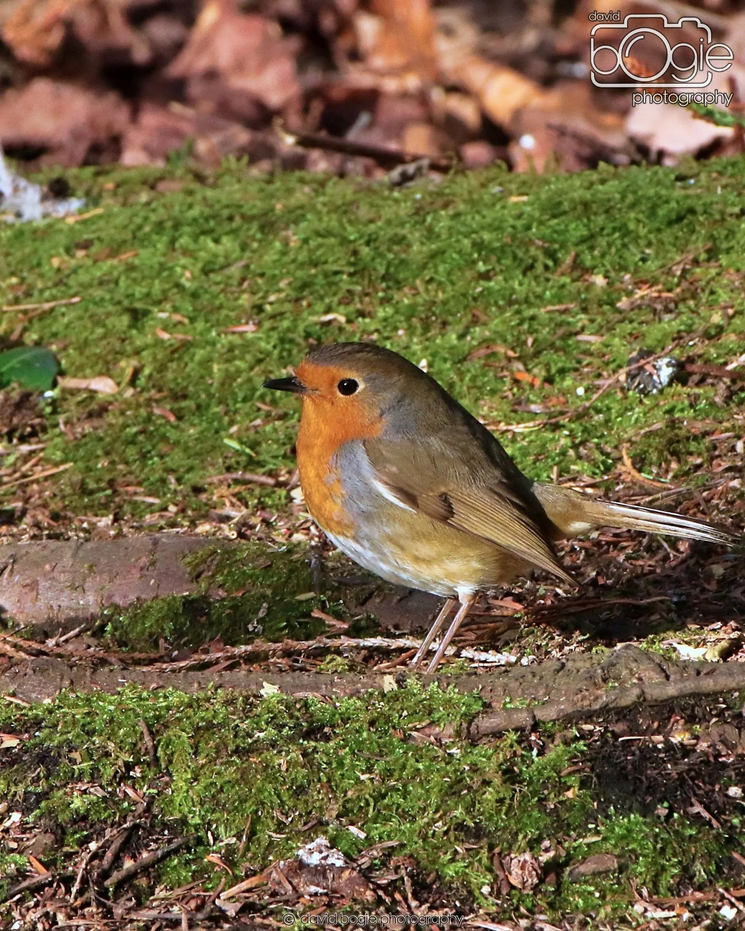 20260128 133743 Dunnikier 0219.JPG