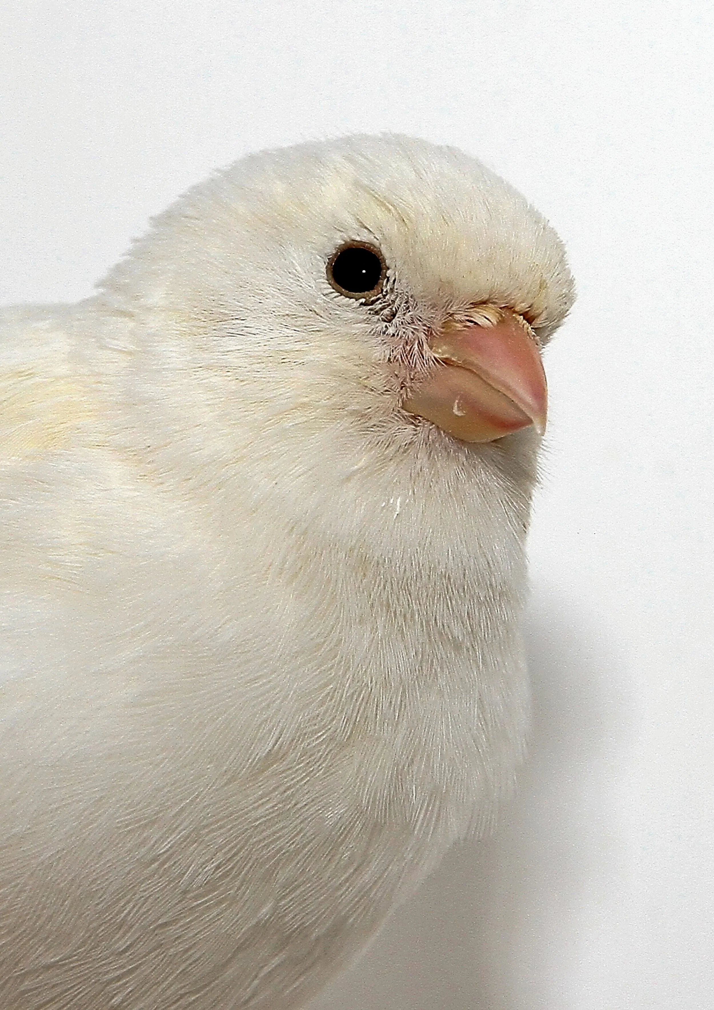 20260331 111753 K&S 0448.jpg