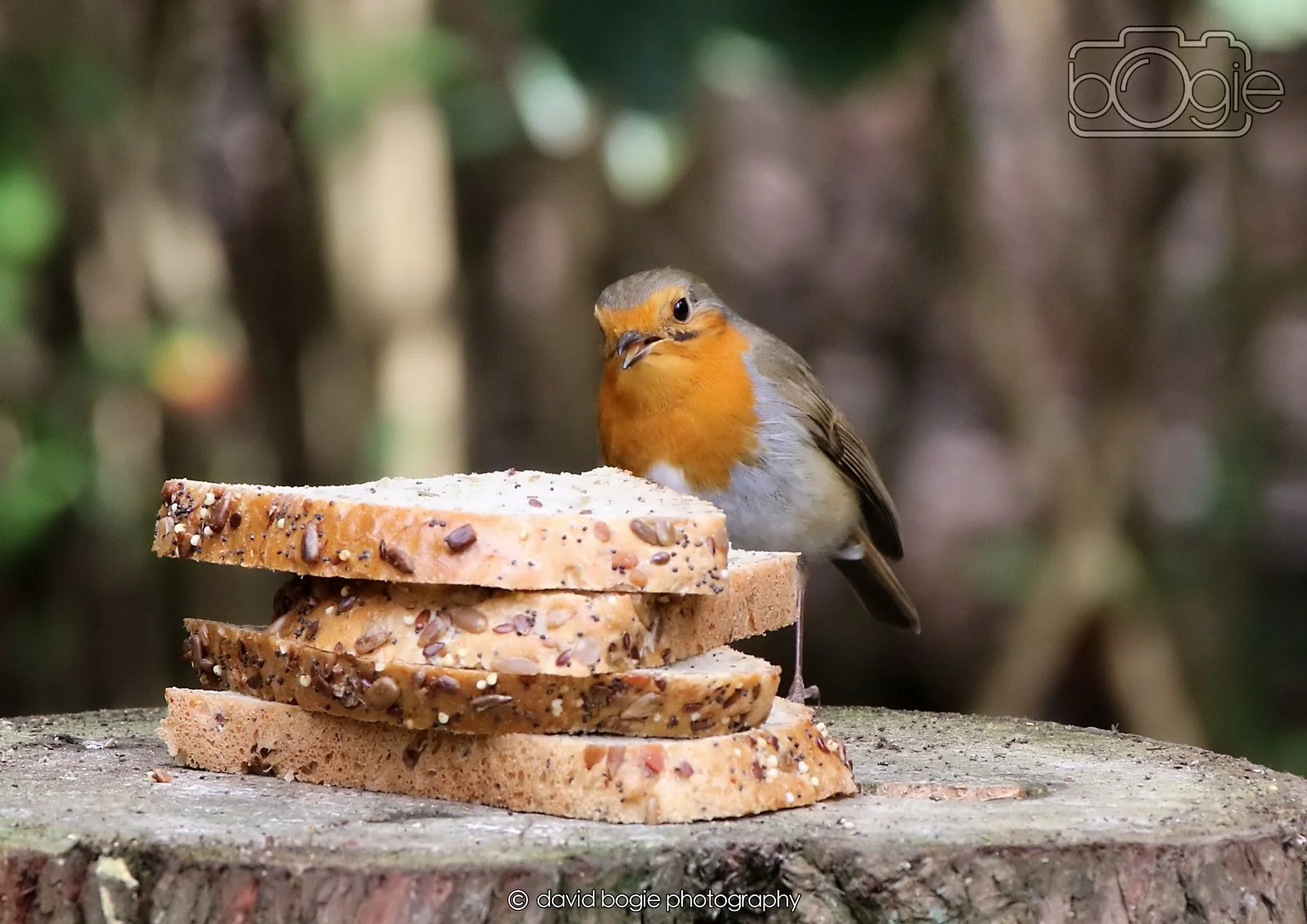 20260330 111834 Dunnikier 0087.jpg