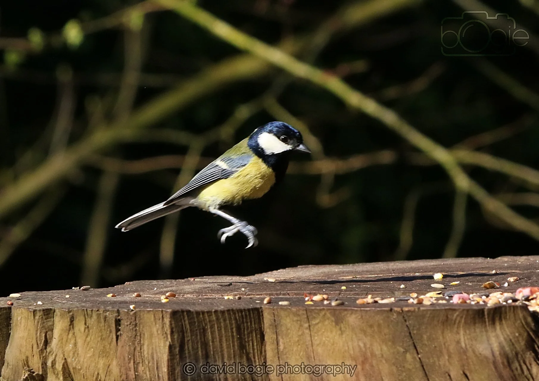 20260320 151619 Ravenscraig 0500.jpg