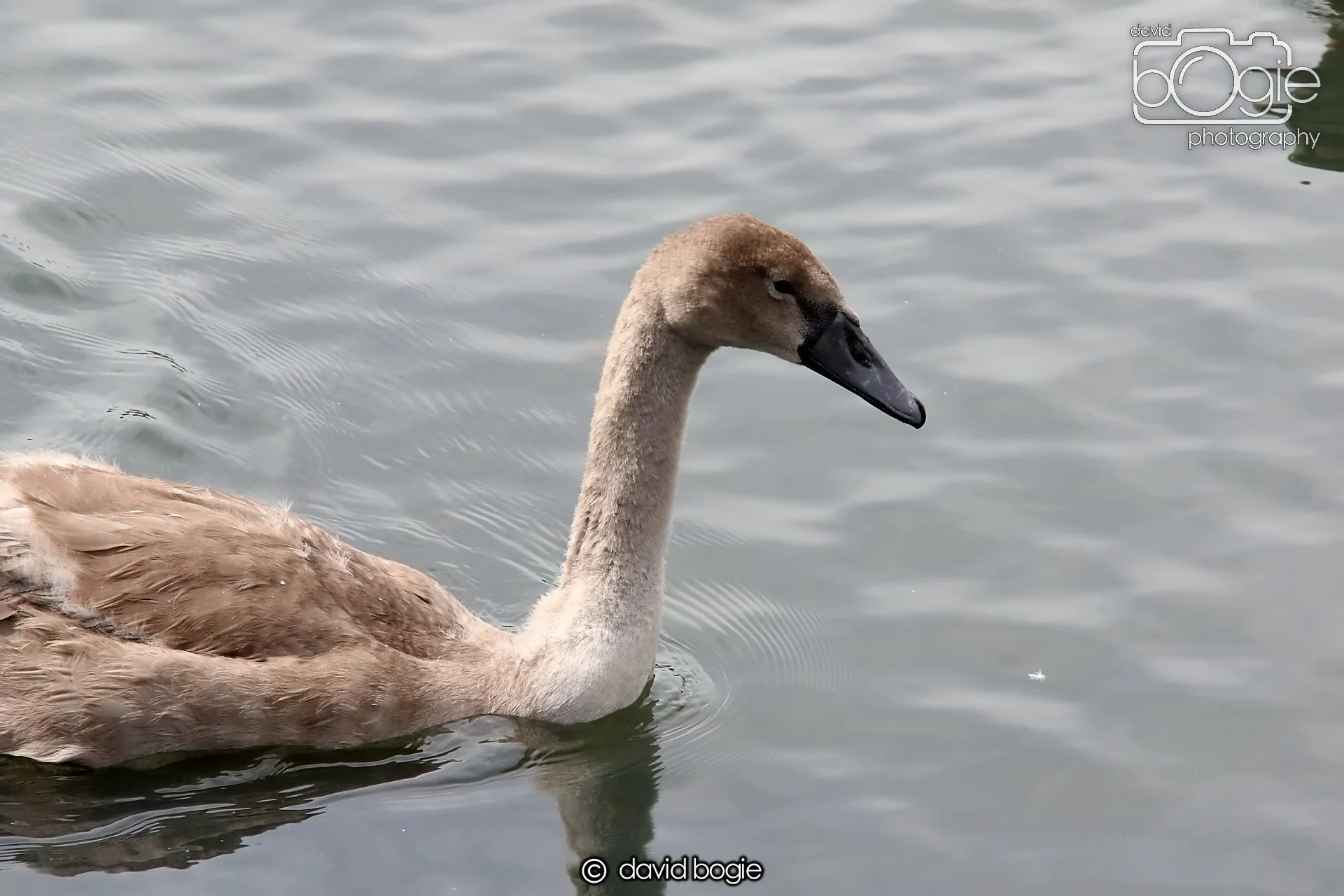 20250721 124807 Beveridge Park 0278.JPG