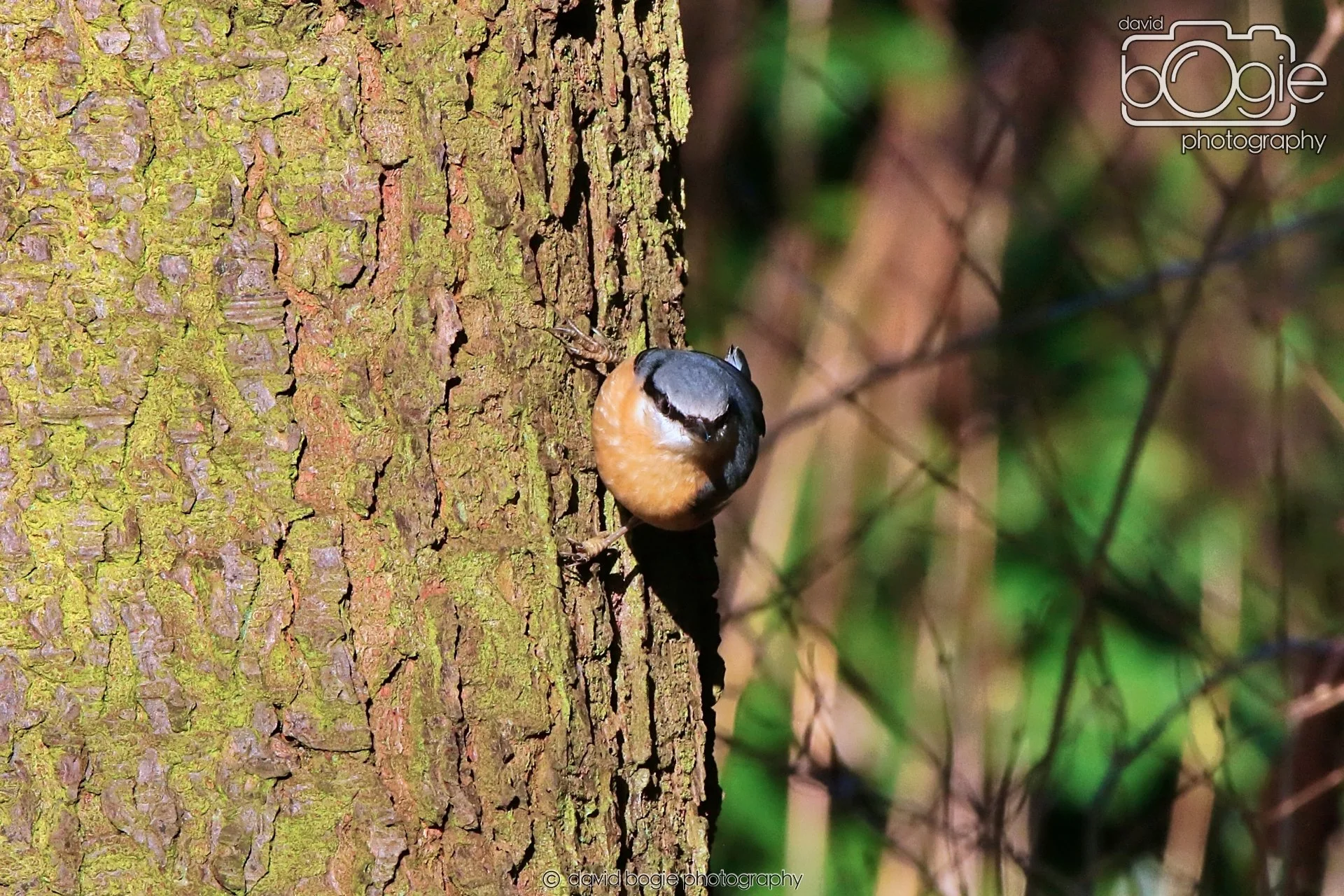 20260128 125115 Dunnikier 0075.JPG