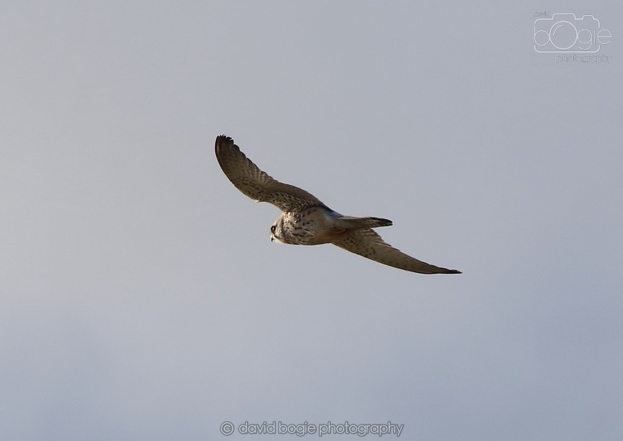 20260314 162120 Elie 0118.jpg