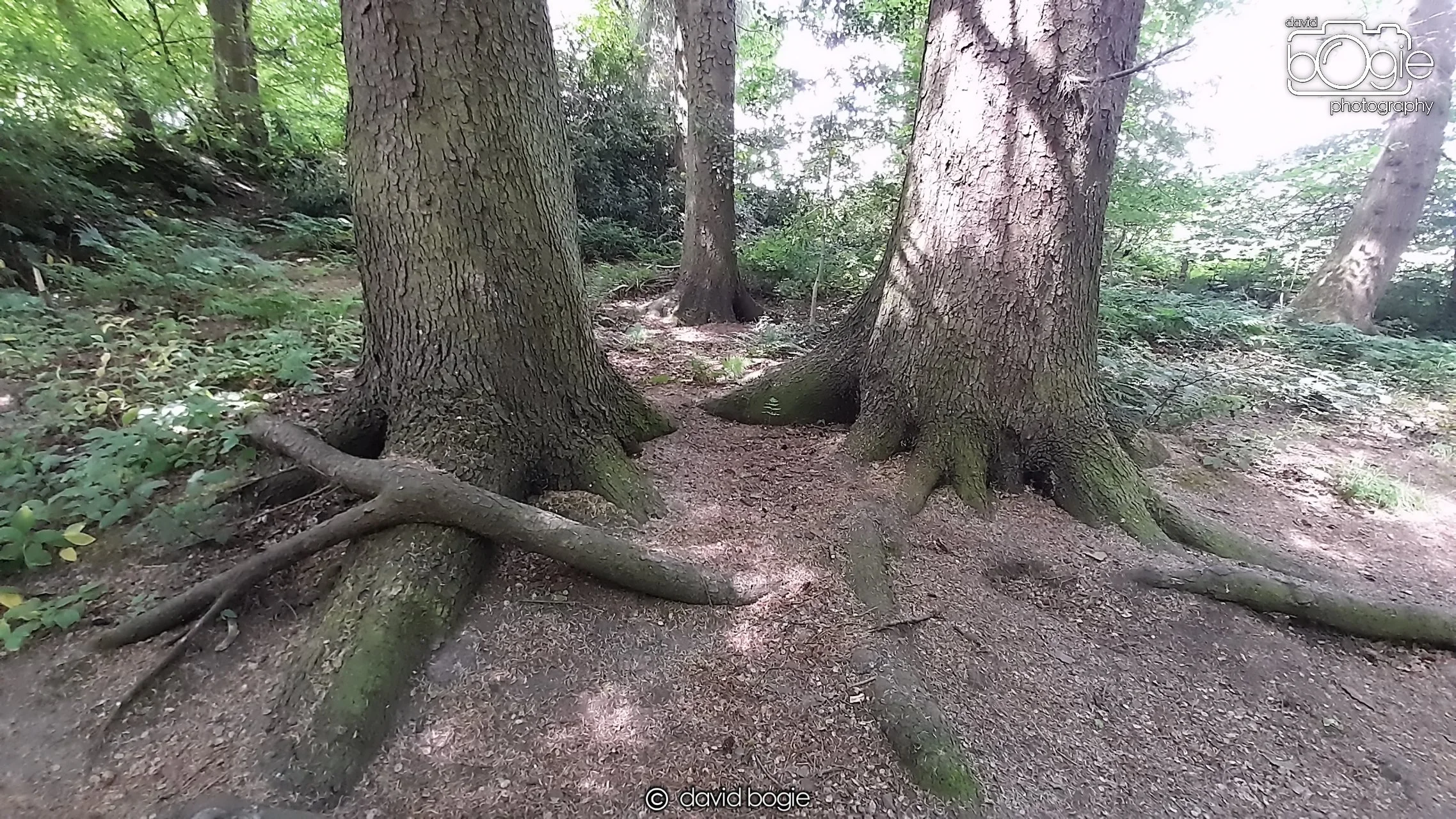 20210627 140605 Dunmore 0045  .jpg