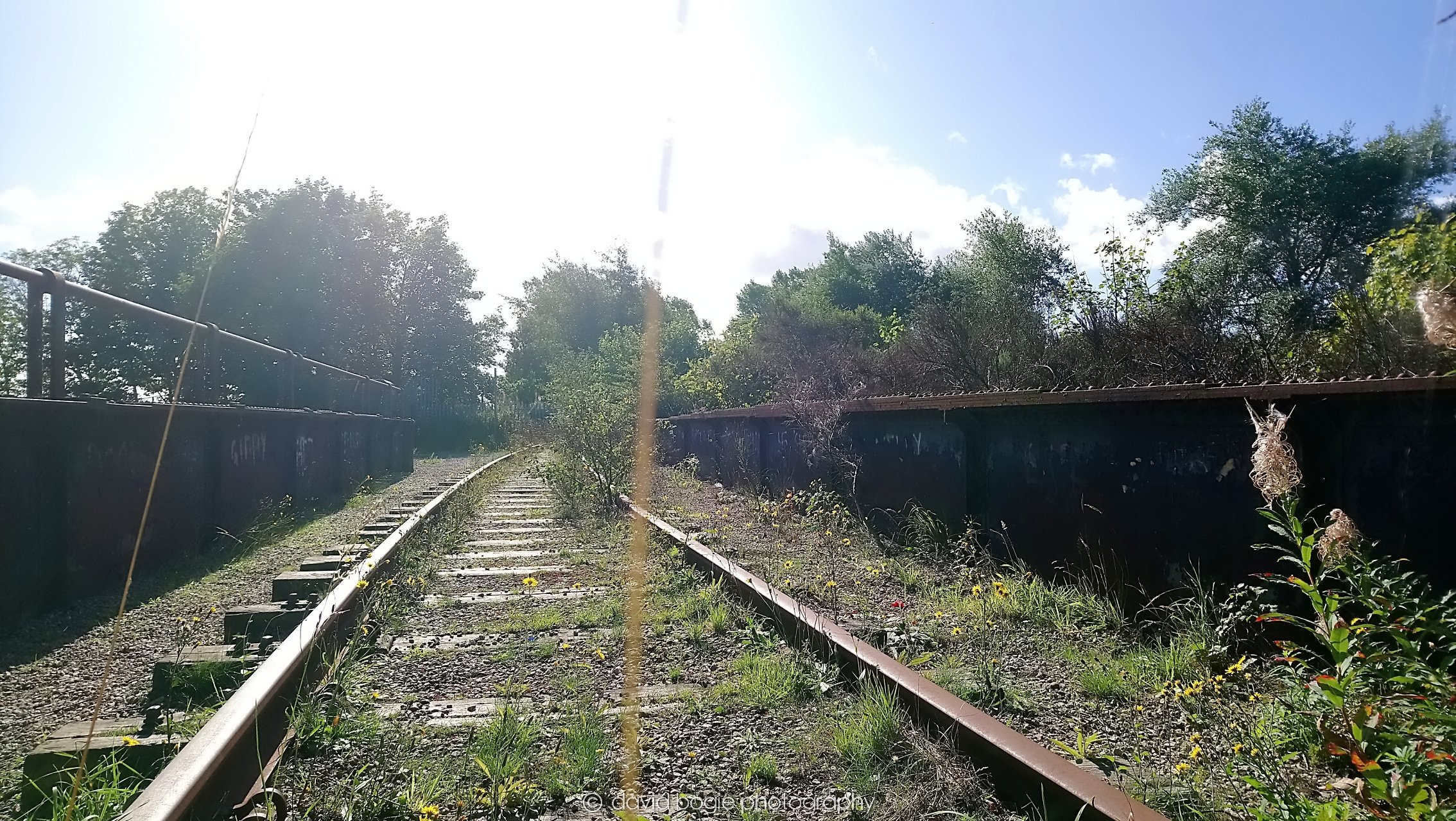 YEAR20180912 110527 Leven 0106.jpg