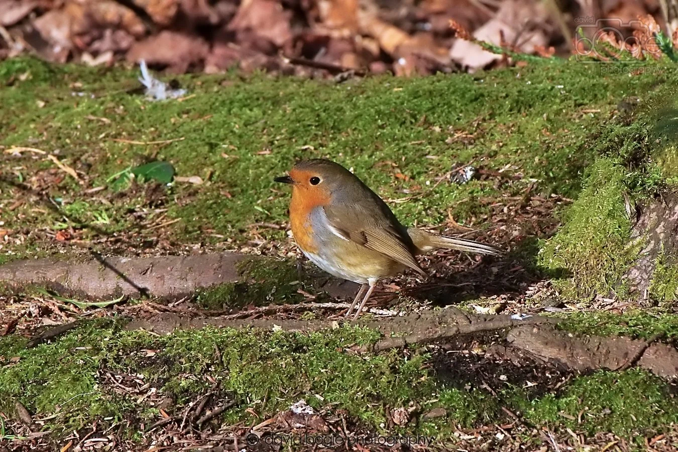 20260128 133741 Dunnikier 0214.jpg