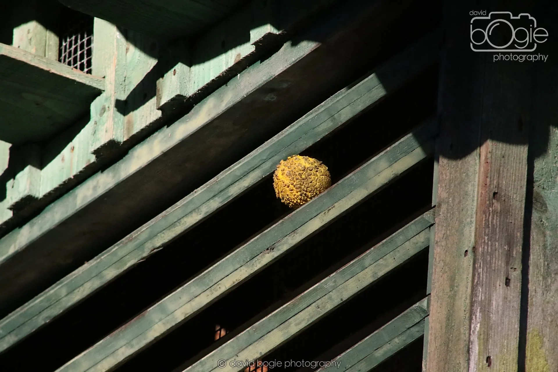 20251125 142513 Silverburn 0686.JPG