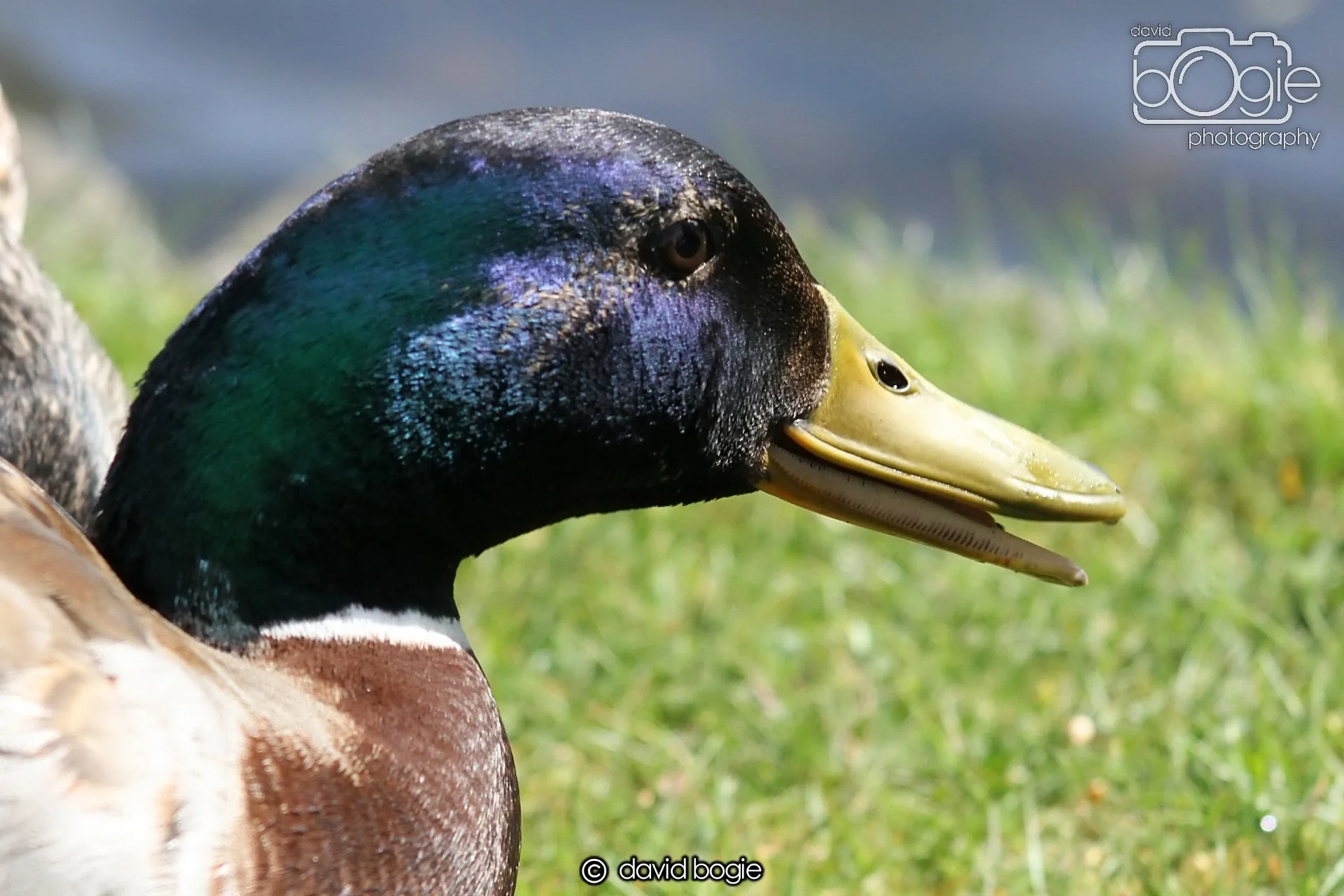 20240502 104401 Beveridge 0058.JPG