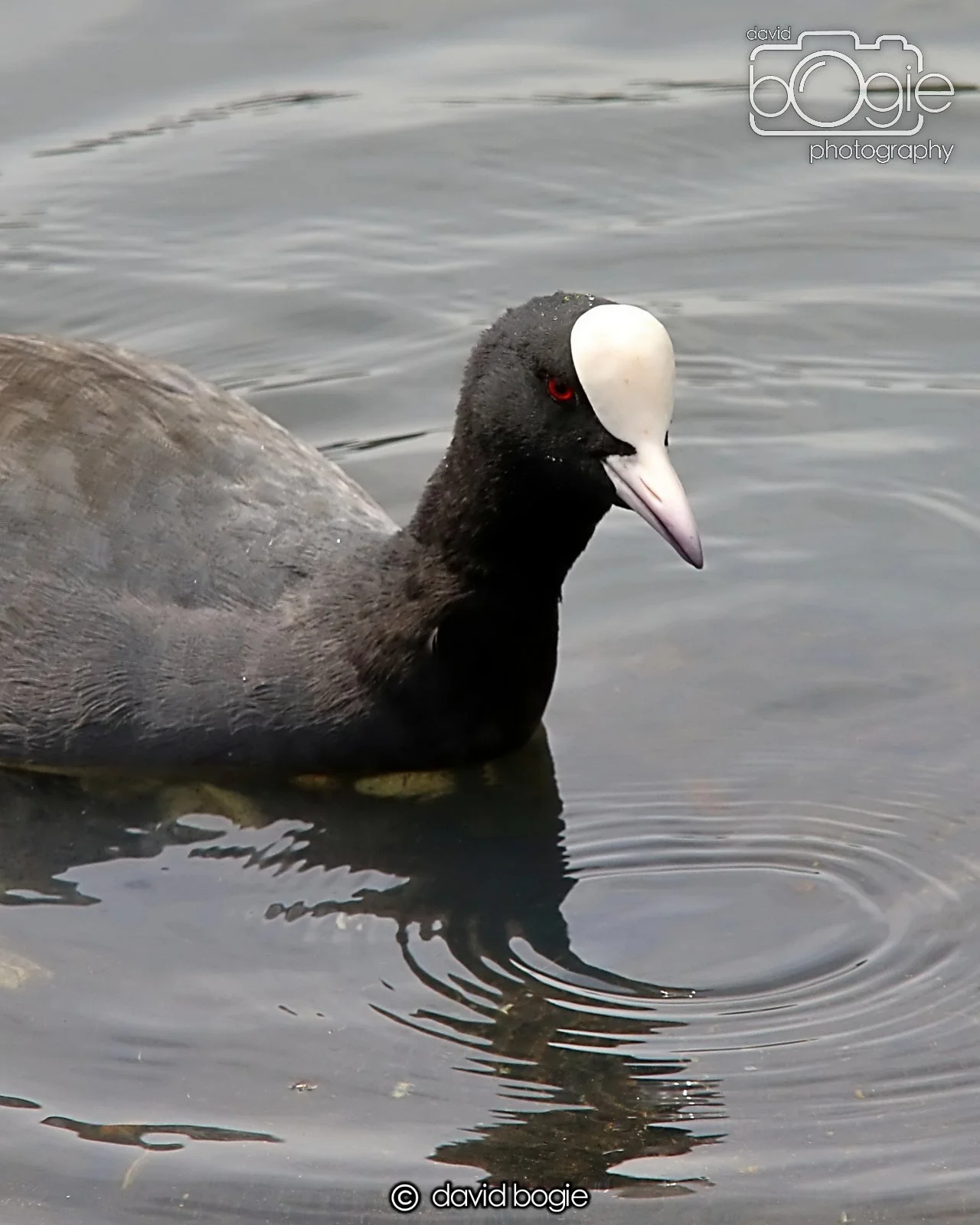 20250721 124932 Beveridge Park 0298.JPG