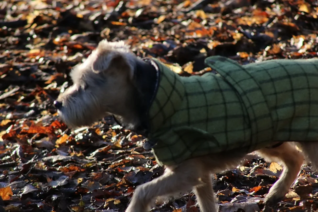 20251231 125204 Silverburn 0024.JPG