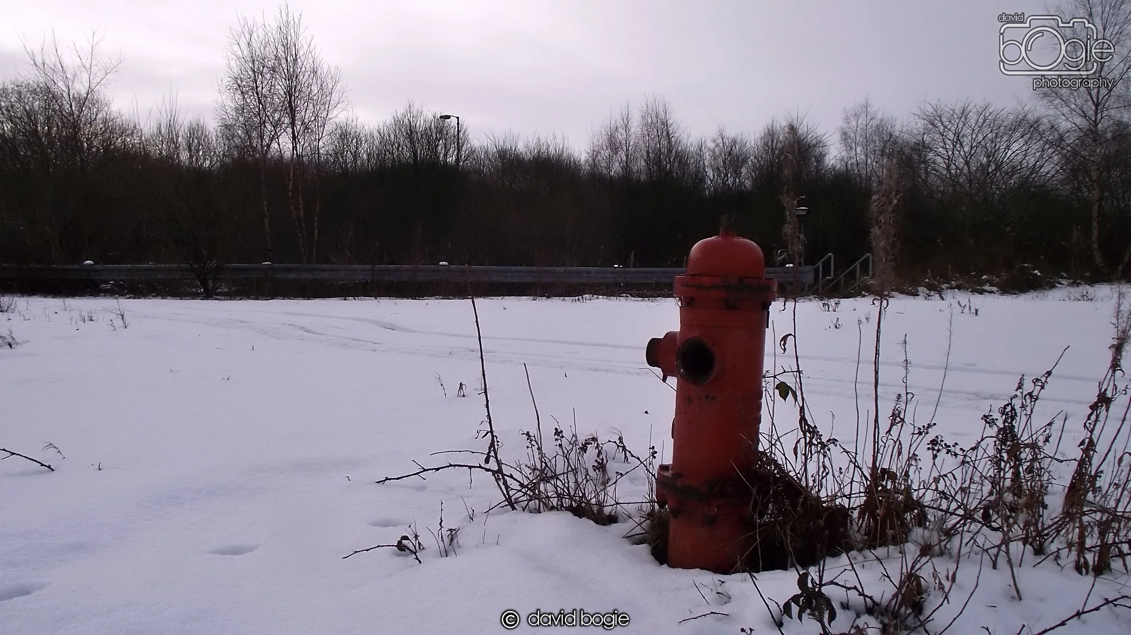 20171227 Westfield (84).JPG