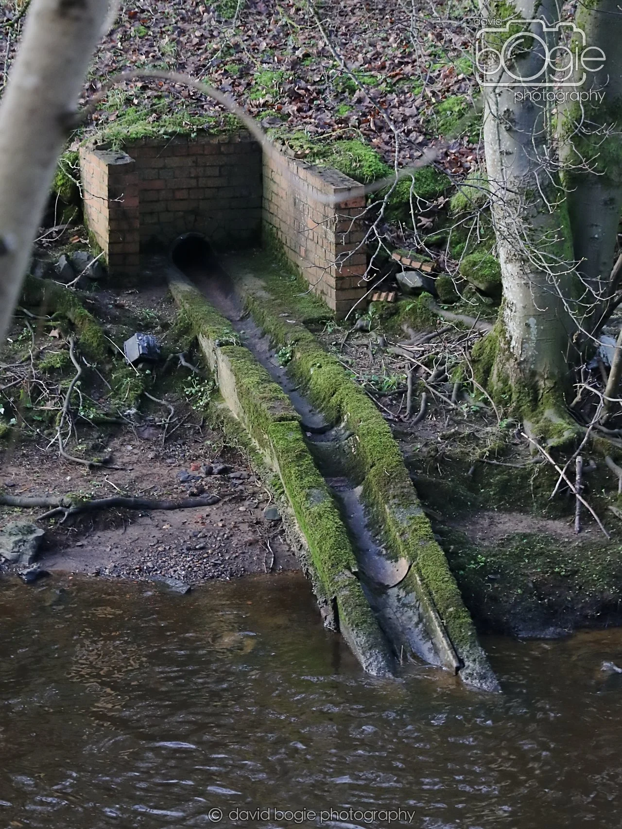 20251205 125653 East Calder 0070.JPG