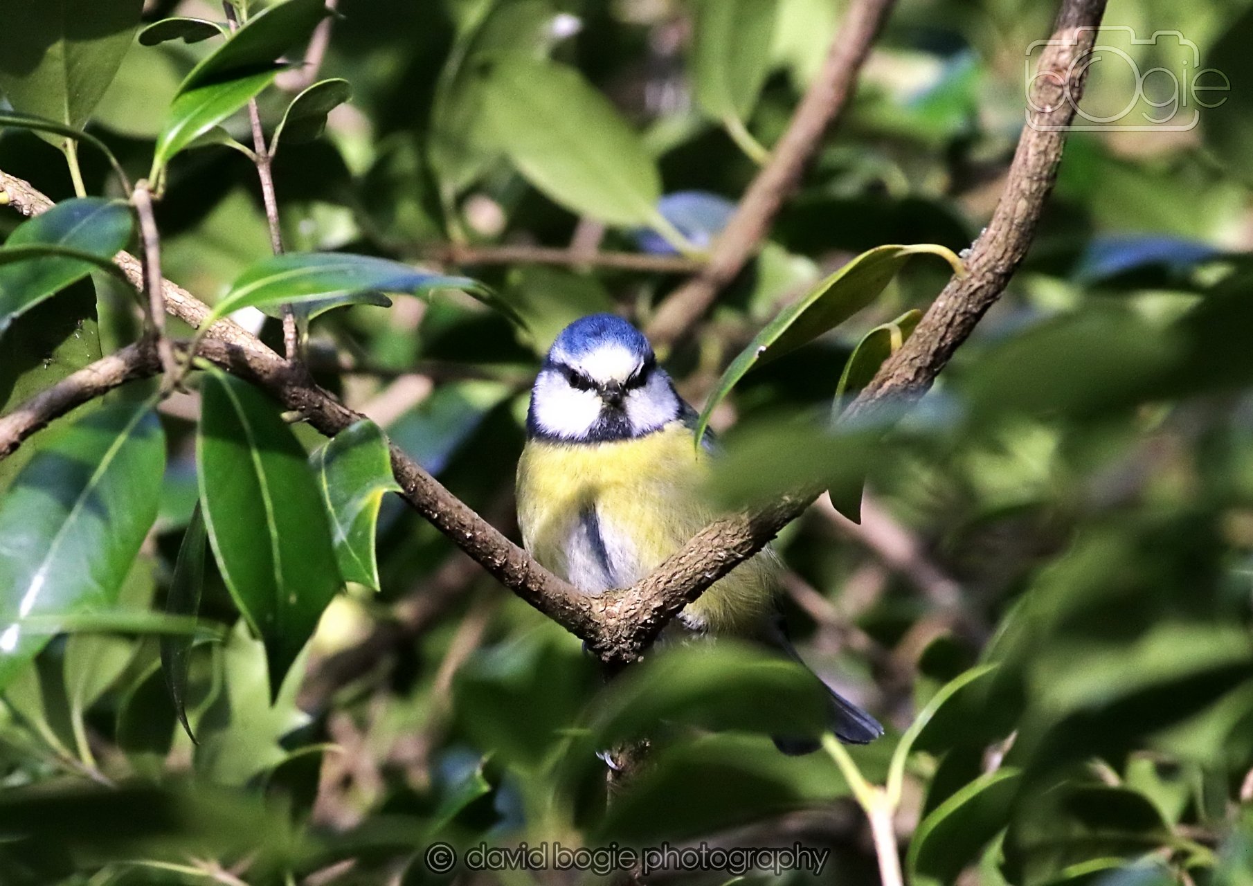 20260322 151322 Dunnikier 0315.jpg