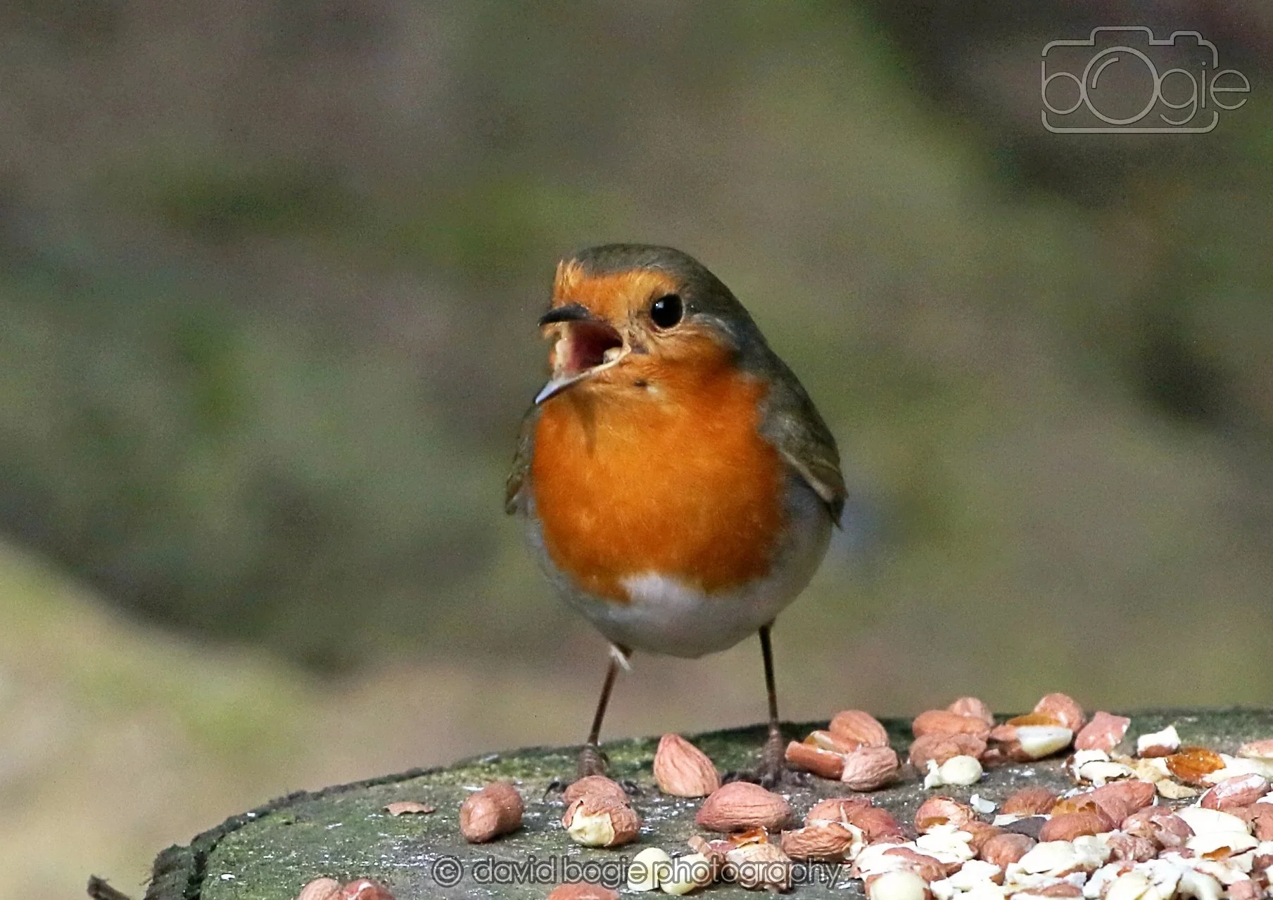 20260322 143729 Dunnikier 0035.jpg