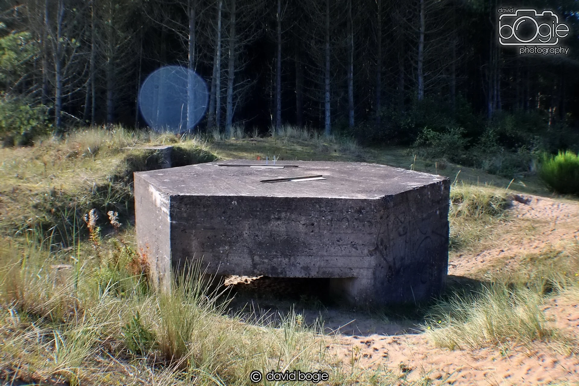 20191002 123735 Tentsmuir 0011.jpg