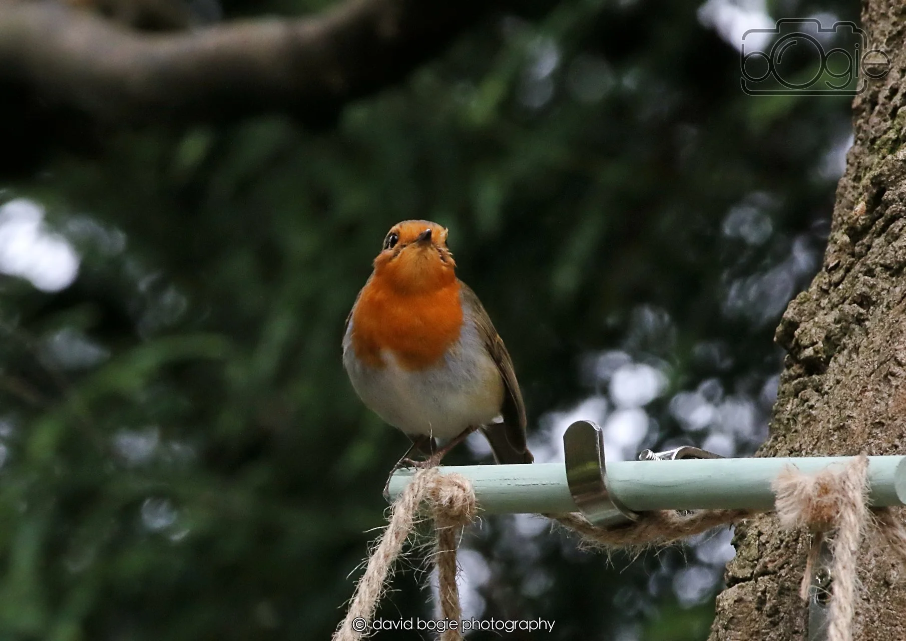 20260403 130213 Dunnikier 0312.jpg