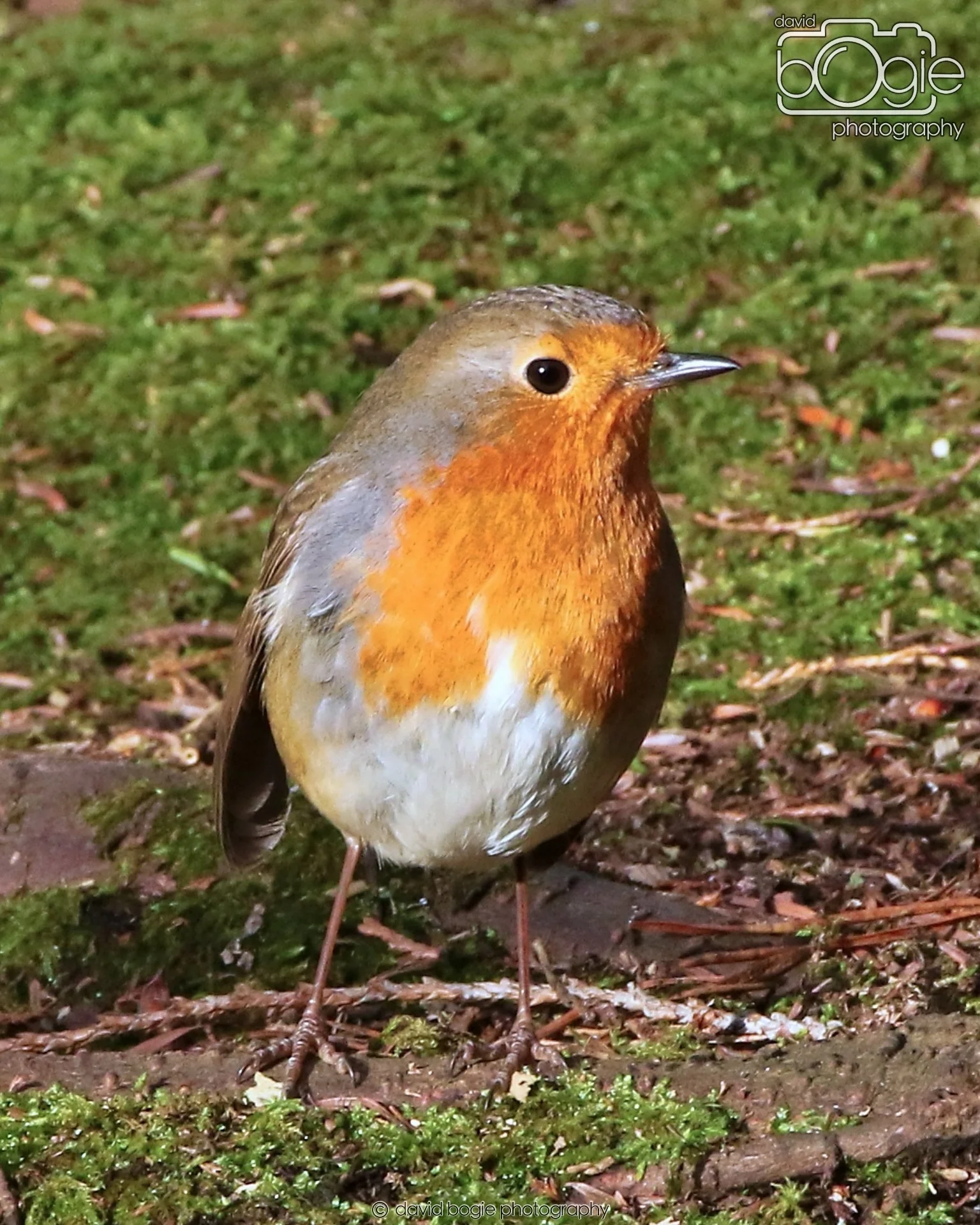 20260128 133747 Dunnikier 0228.JPG