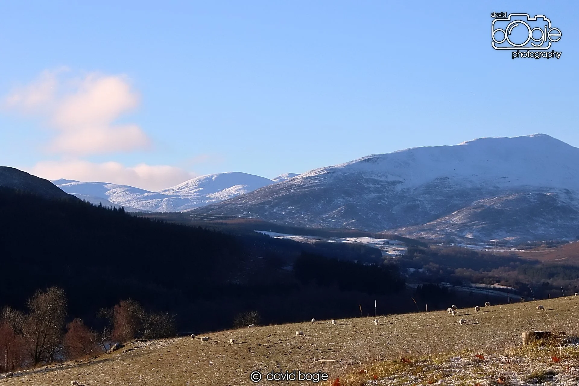 20221215 00005 Aberfeldy.JPG