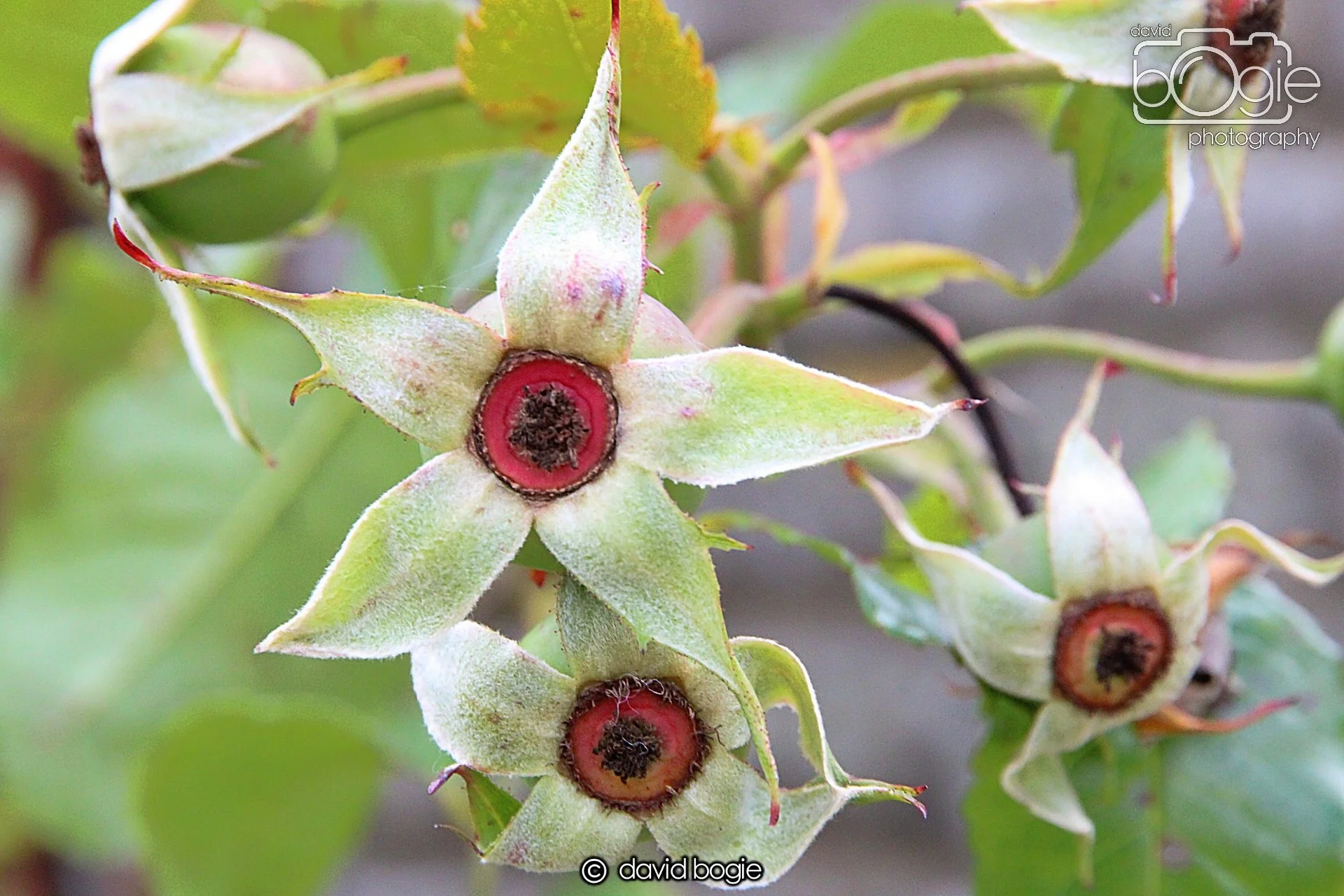 20220926 Beveridge Park19 .JPG