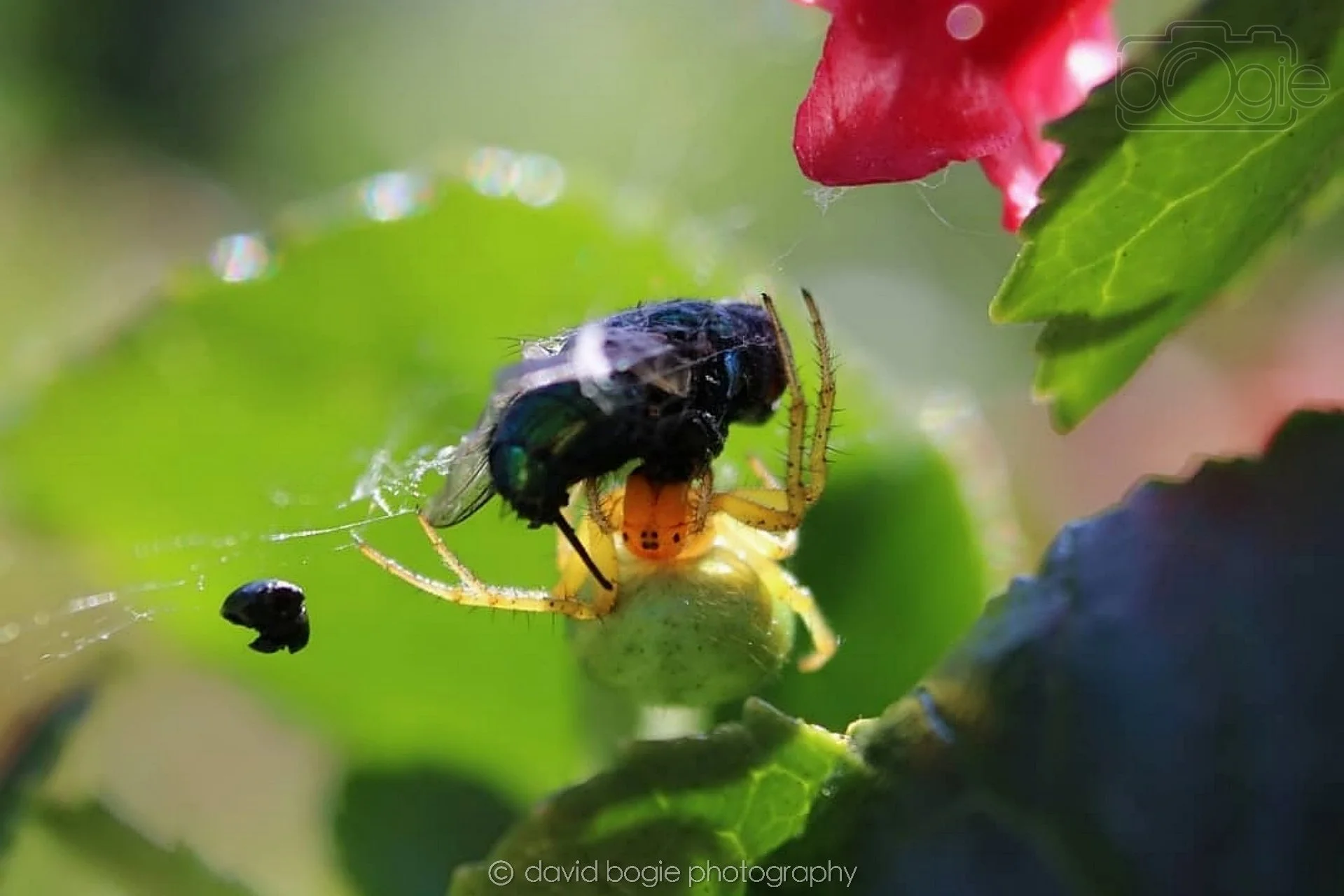 20190626 Cardenden 0005.jpg