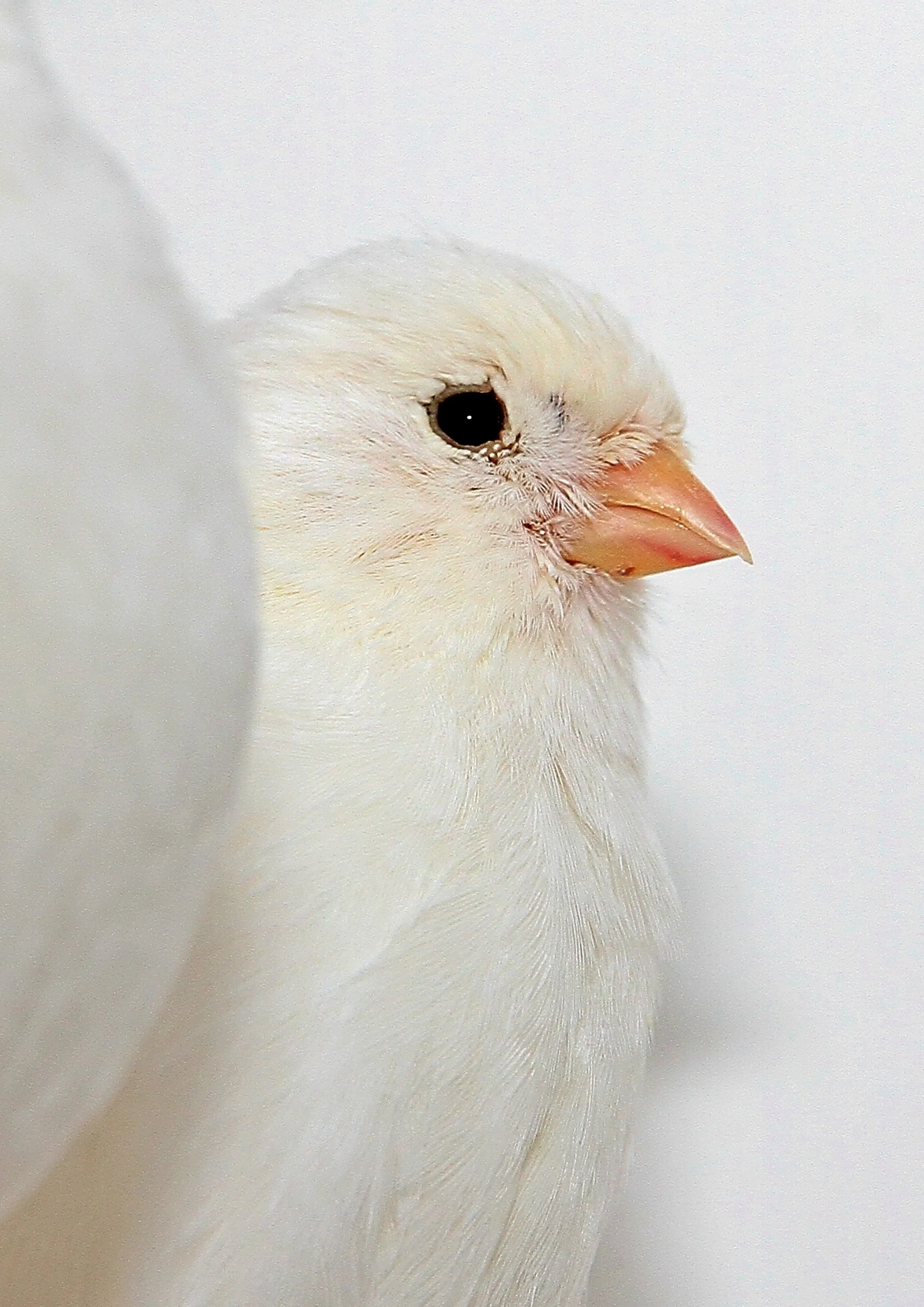 20260331 111733 K&S 0439.jpg