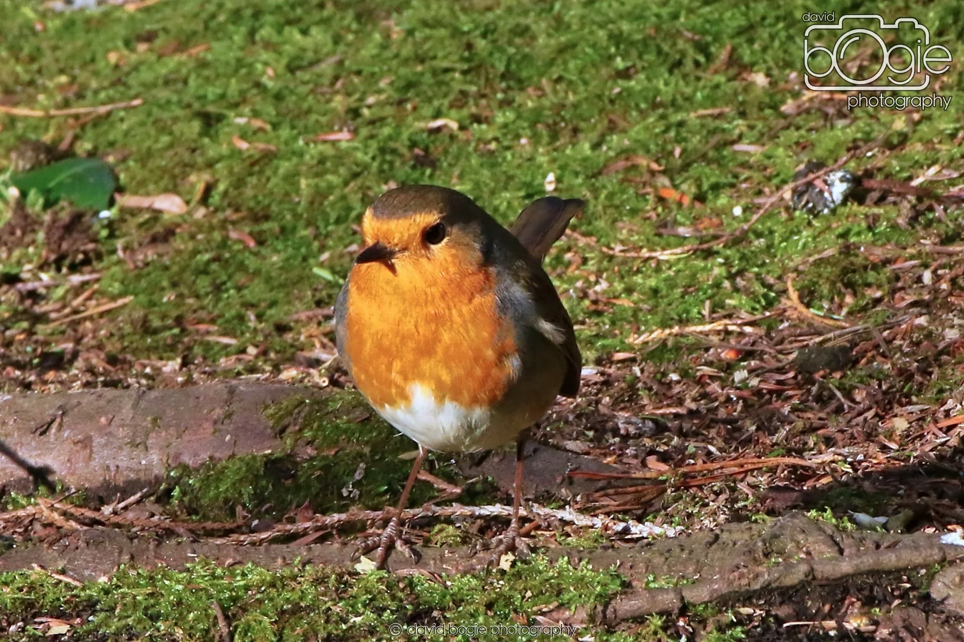 20260128 133745 Dunnikier 0224.JPG