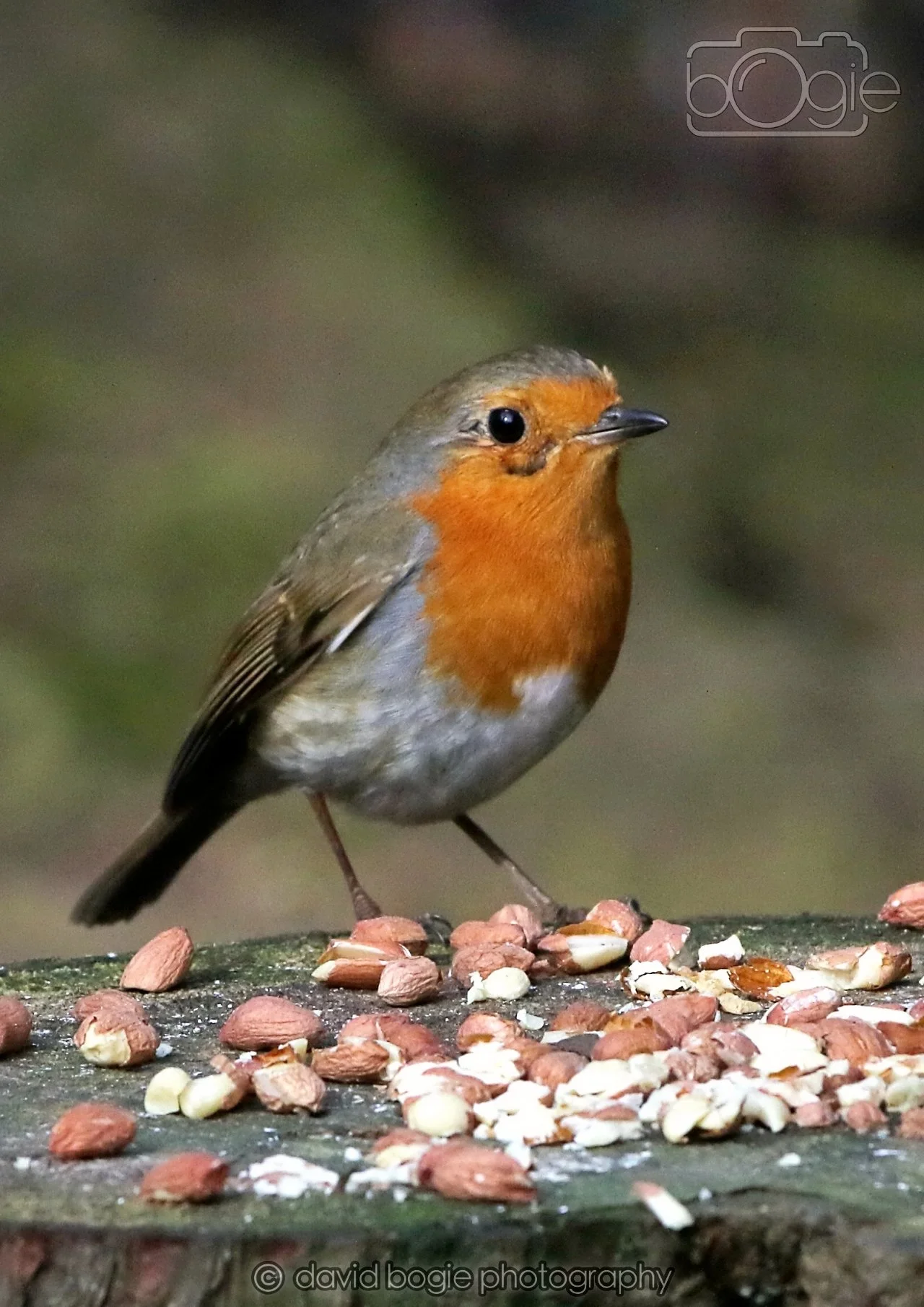 20260322 143725 Dunnikier 0028.jpg