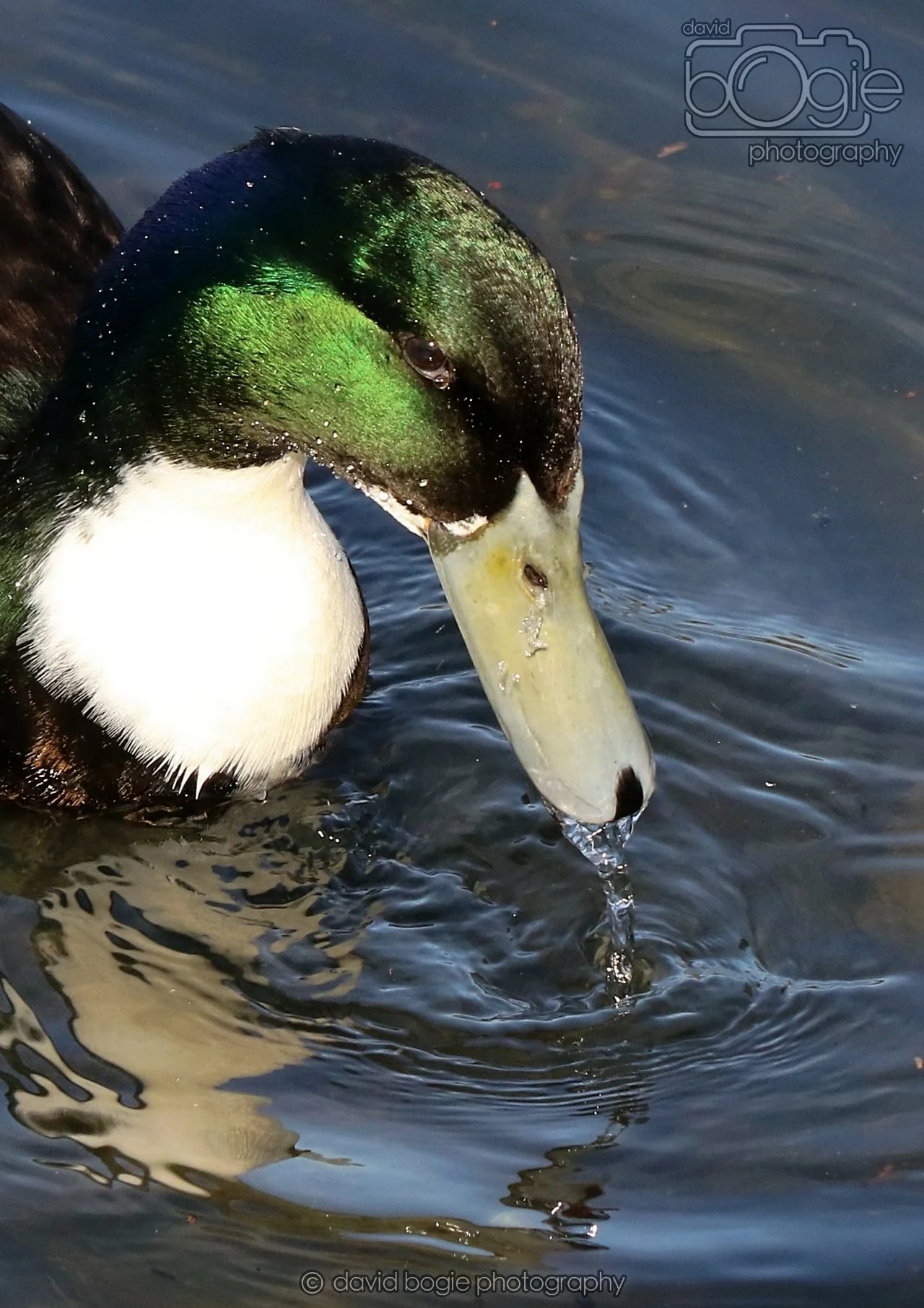 20260319 112854 Beveridge Park 0039.jpg