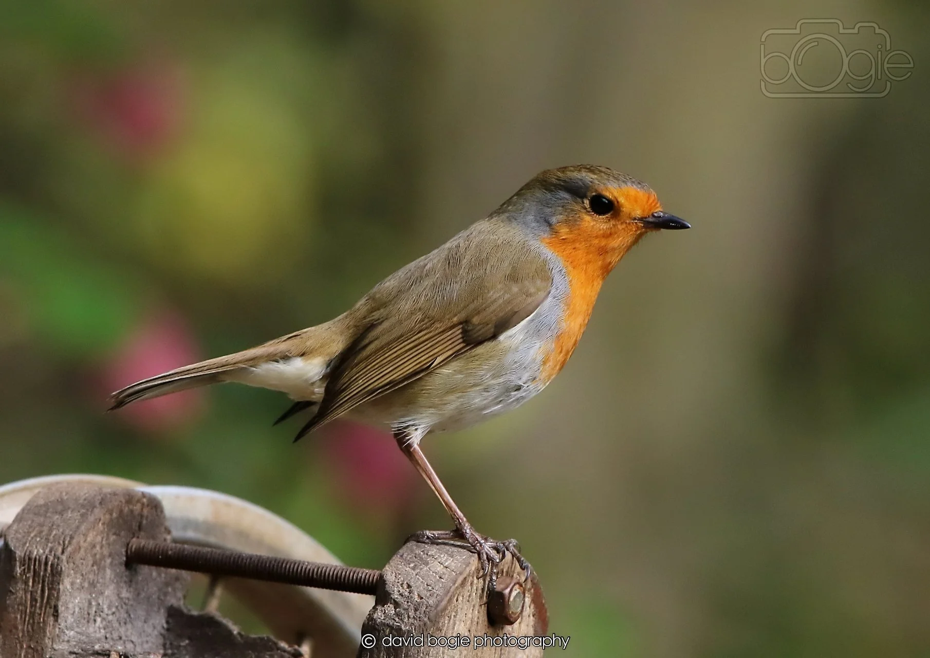 20260326 121432 Silverburn 0477.jpg