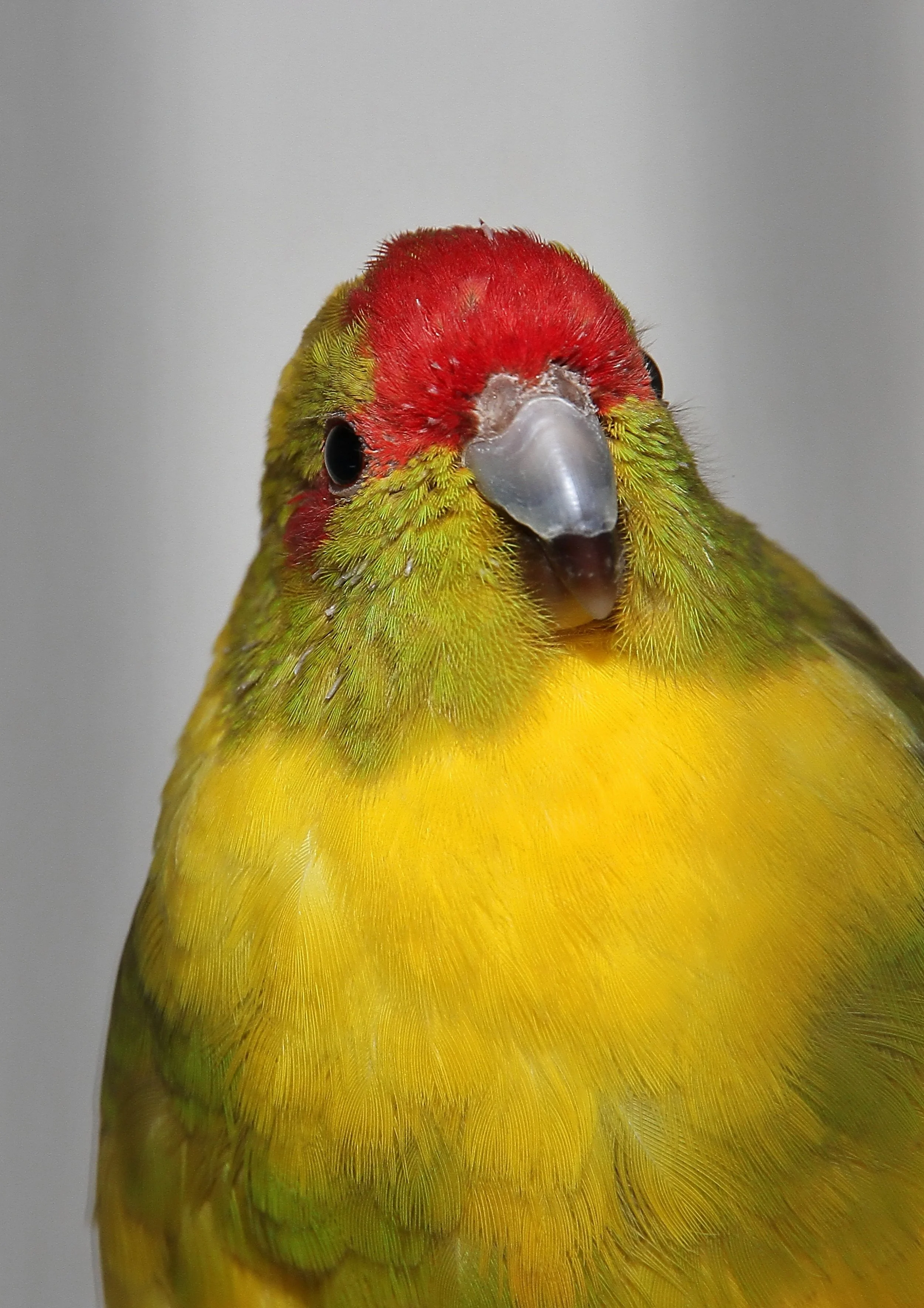 20260331 104144 K&S 0301.jpg