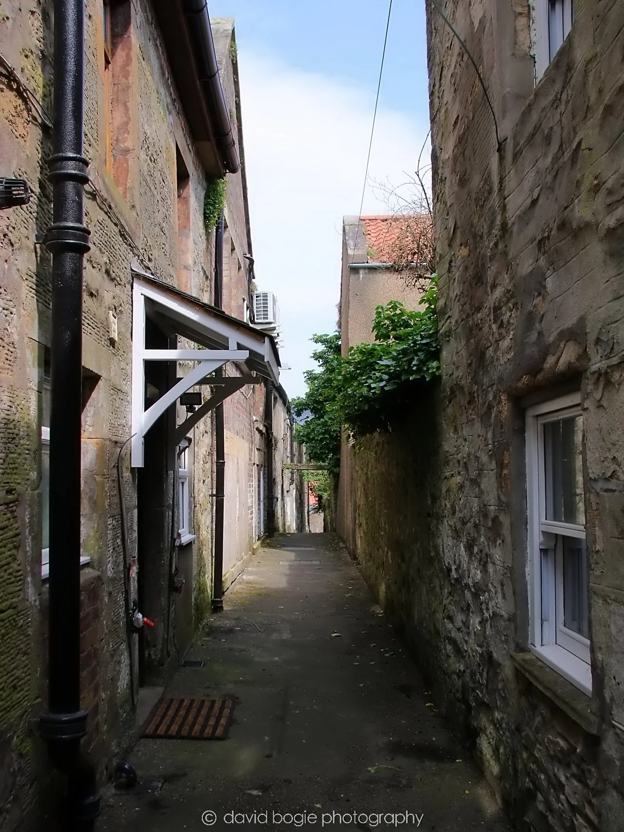 YEAR20240531 113646 Cupar 0185.jpg