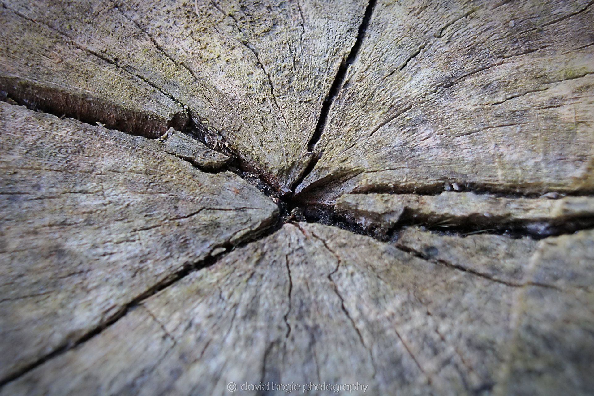 20190913 122851 Dunnikier 0010.jpg