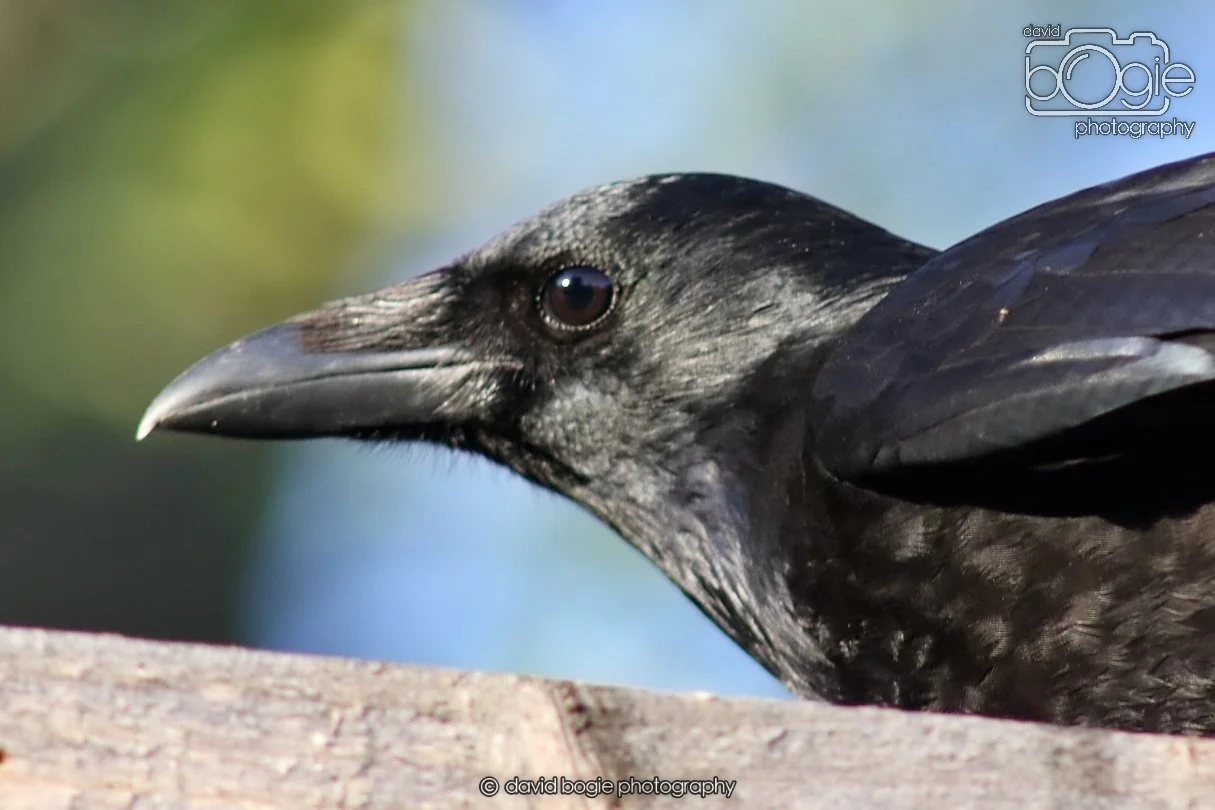 20251231 132850 Silverburn 0108.JPG