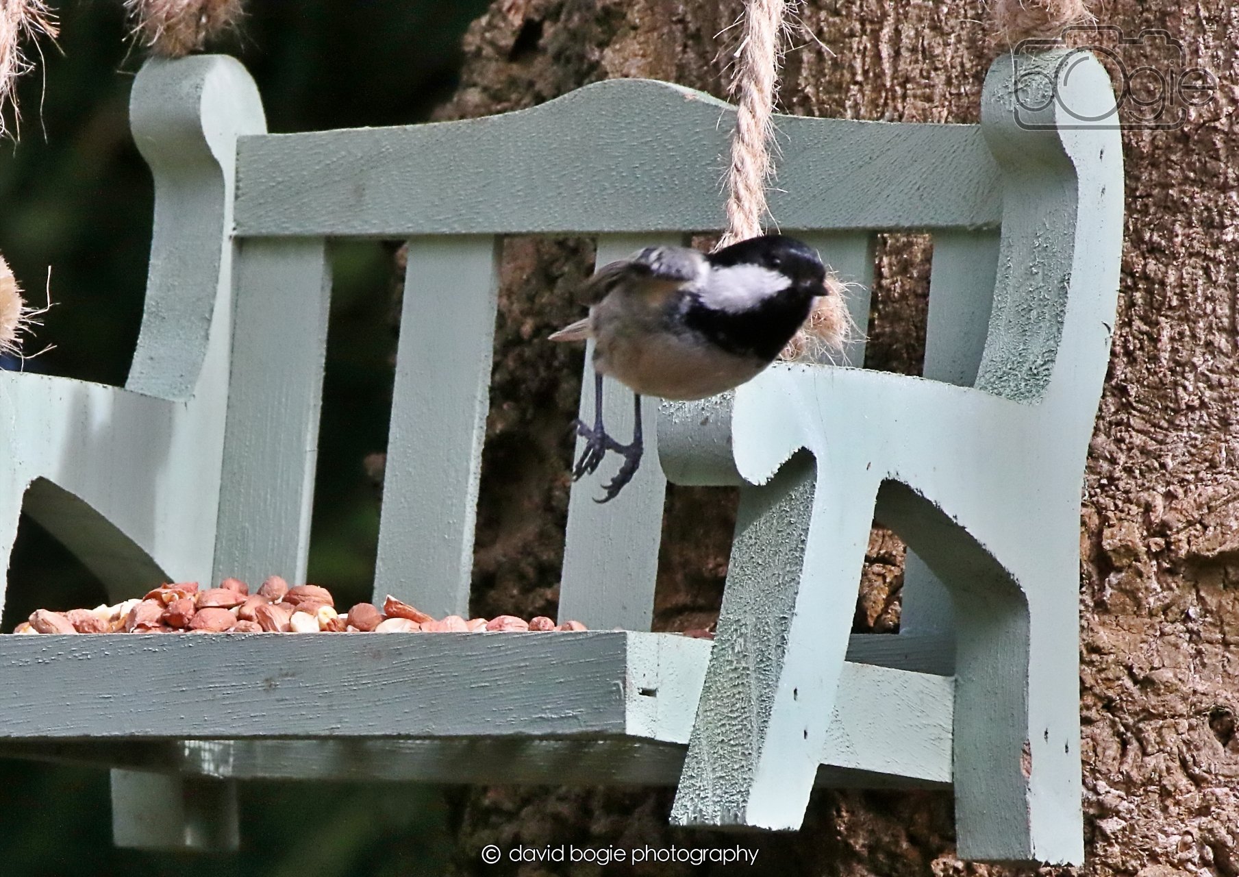 20260403 122428 Dunnikier 0198.jpg