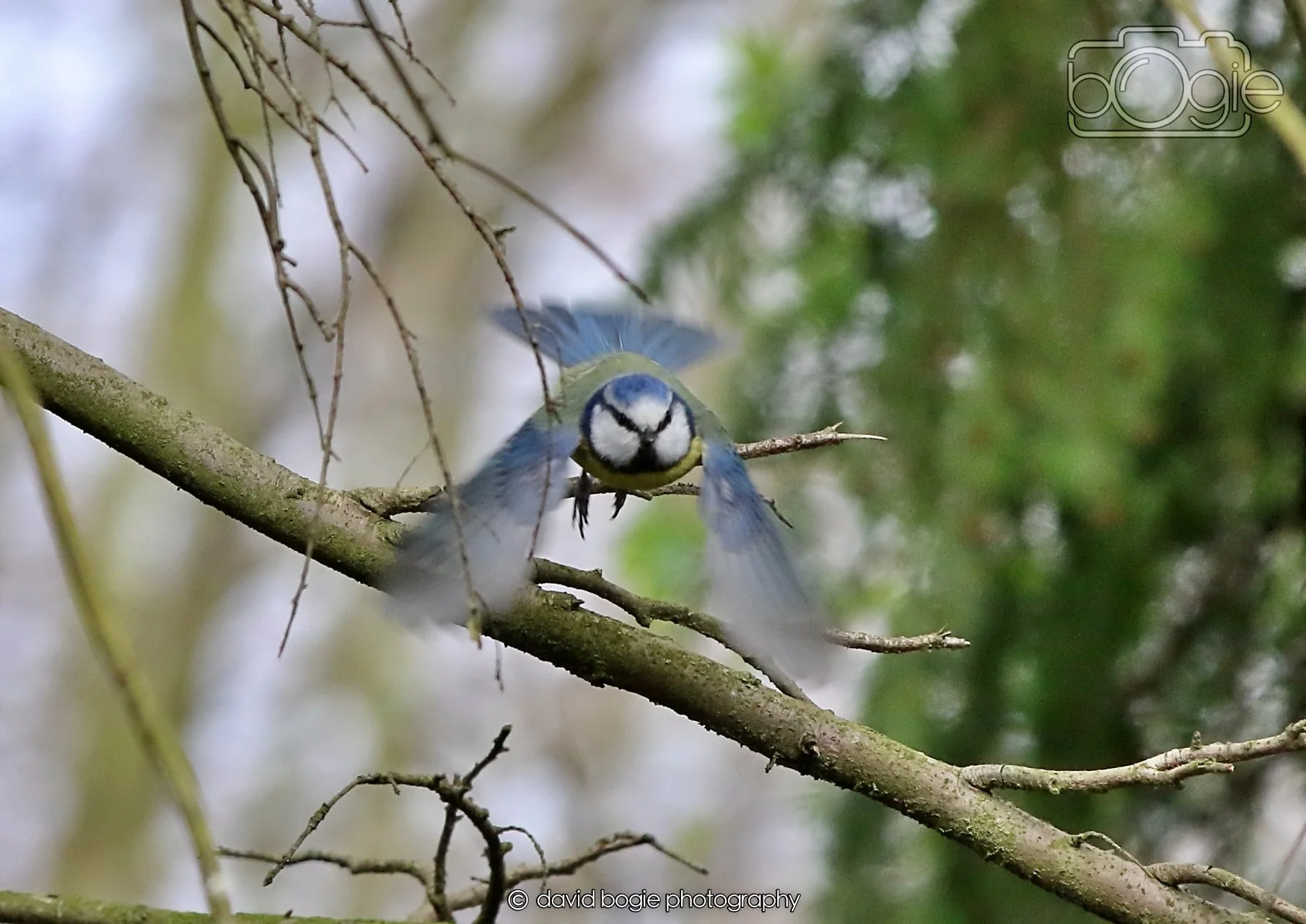 20260330 121521 Dunnikier 0376.jpg