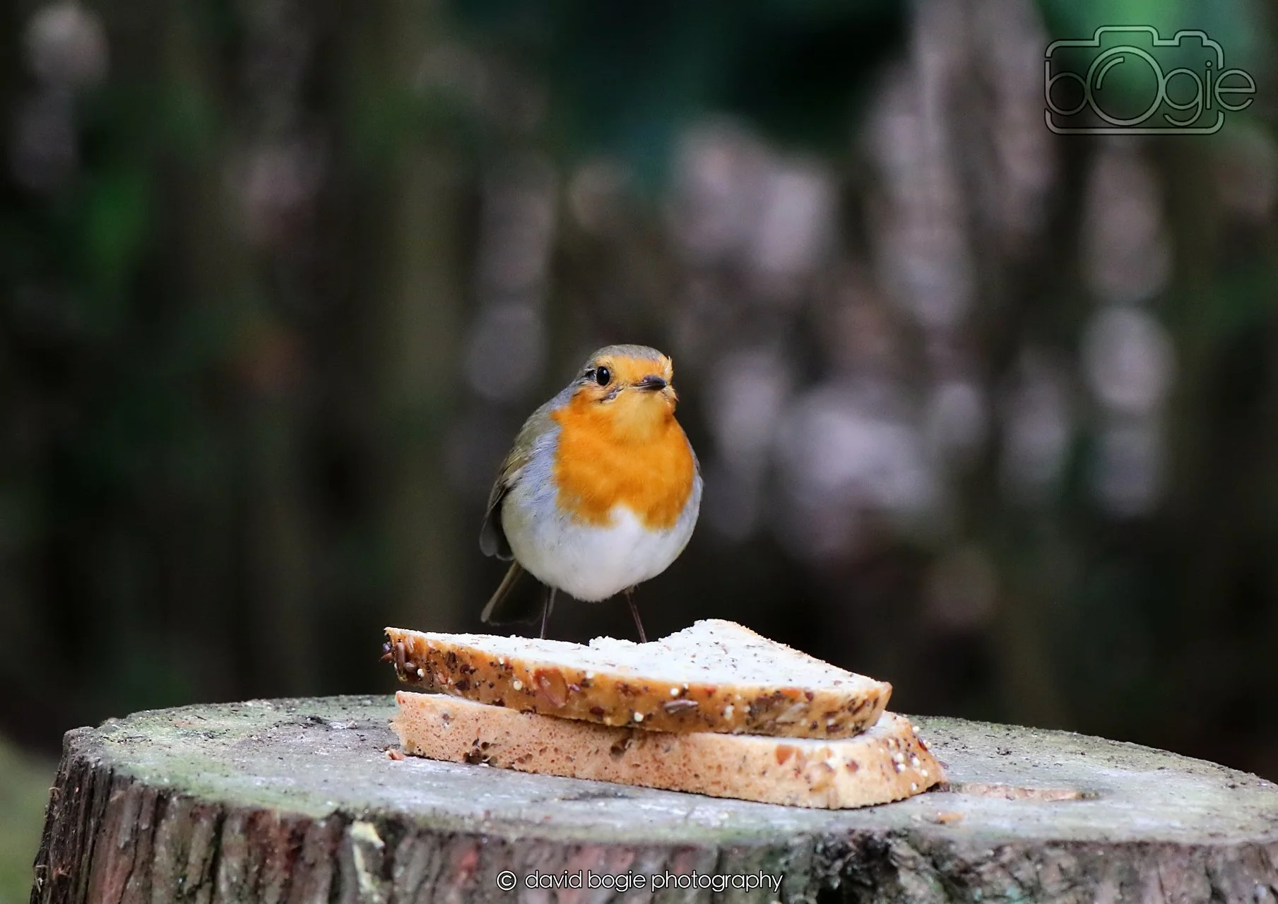 20260330 113544 Dunnikier 0231.jpg