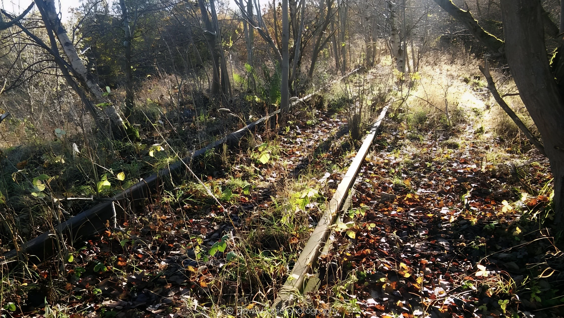 20161118 Cardenden 0006b.jpg
