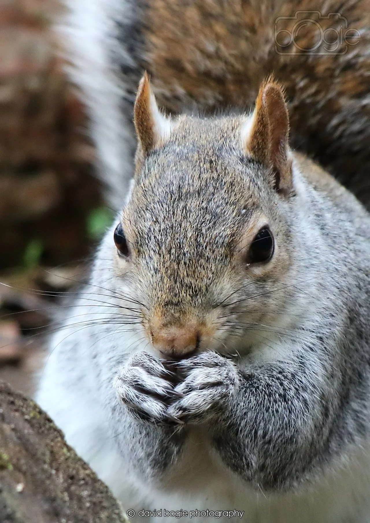 20260326 113649 Silverburn 0226.jpg