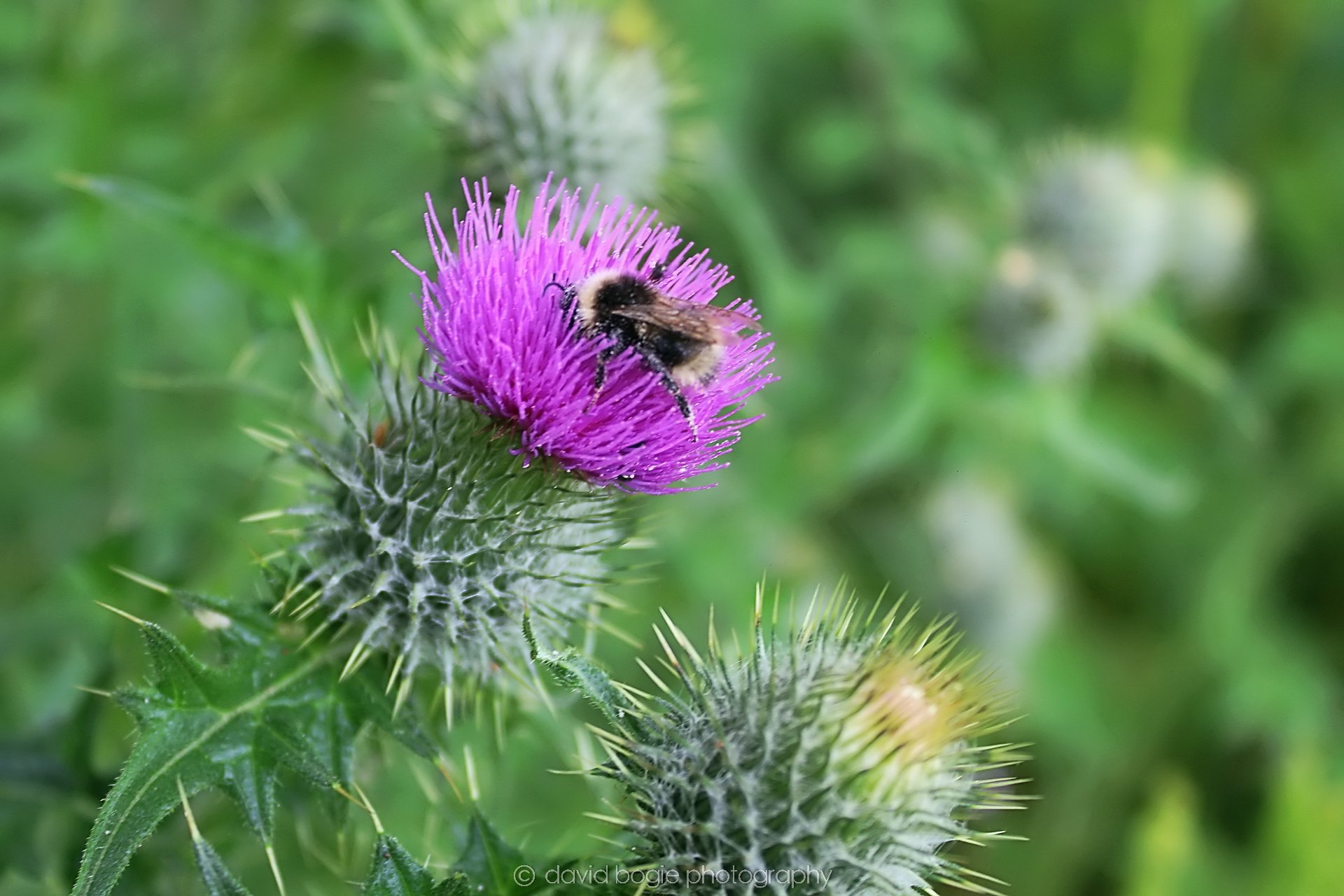 20210720 124458 Methil 0109.jpg