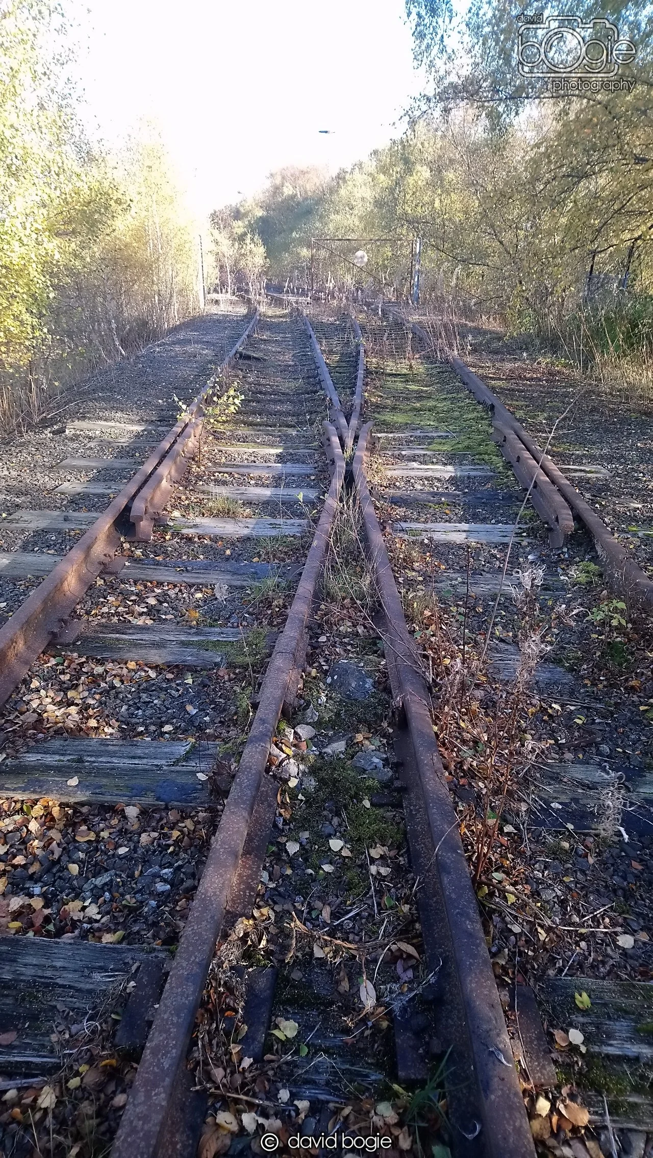 20181029 Westfield (3).JPG