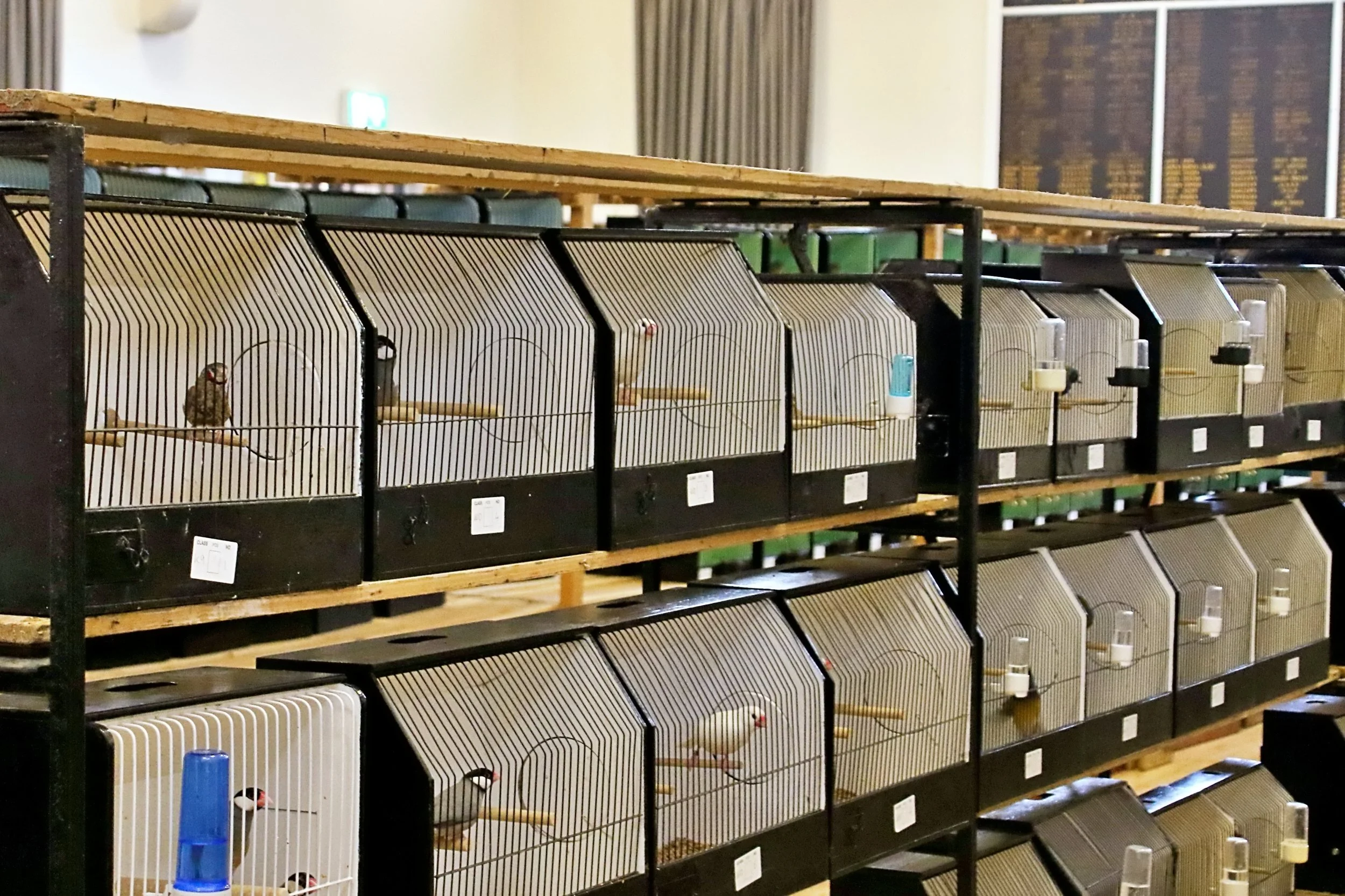 20251102 092845 Markinch CBS  0216.JPG