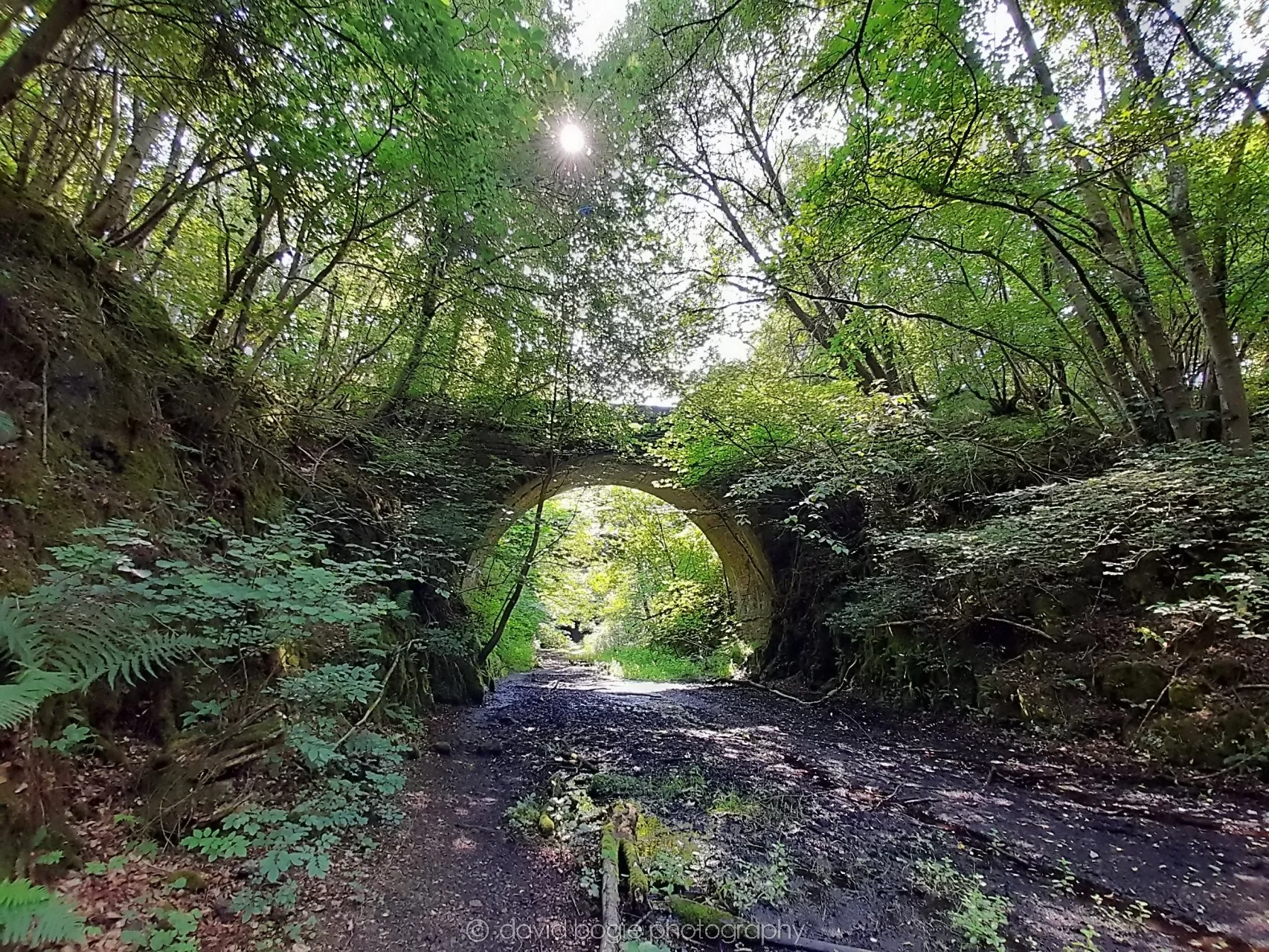 20210719 Glenfarg 00009.jpg