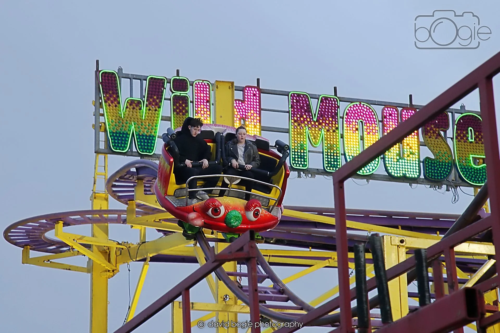 20260416 190241 Links Market0163.jpg