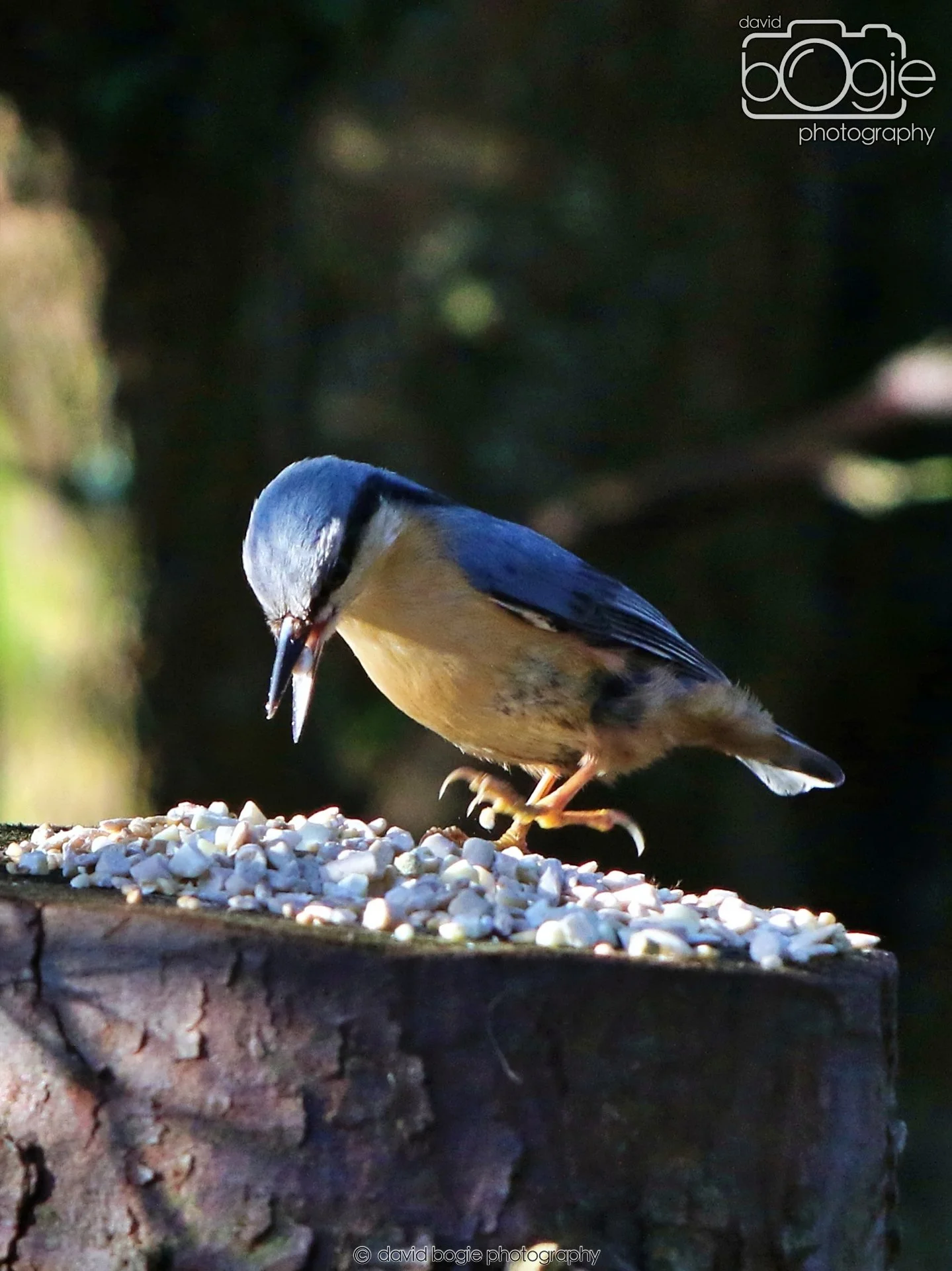 20260128 130046 Dunnikier 0121.JPG