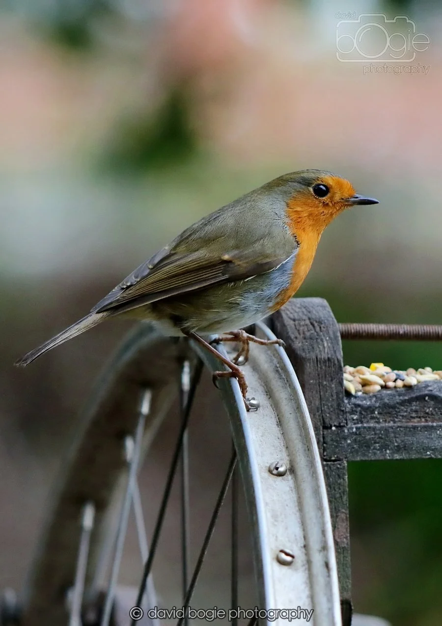 20260215 131552 Silverburn 0063.jpg