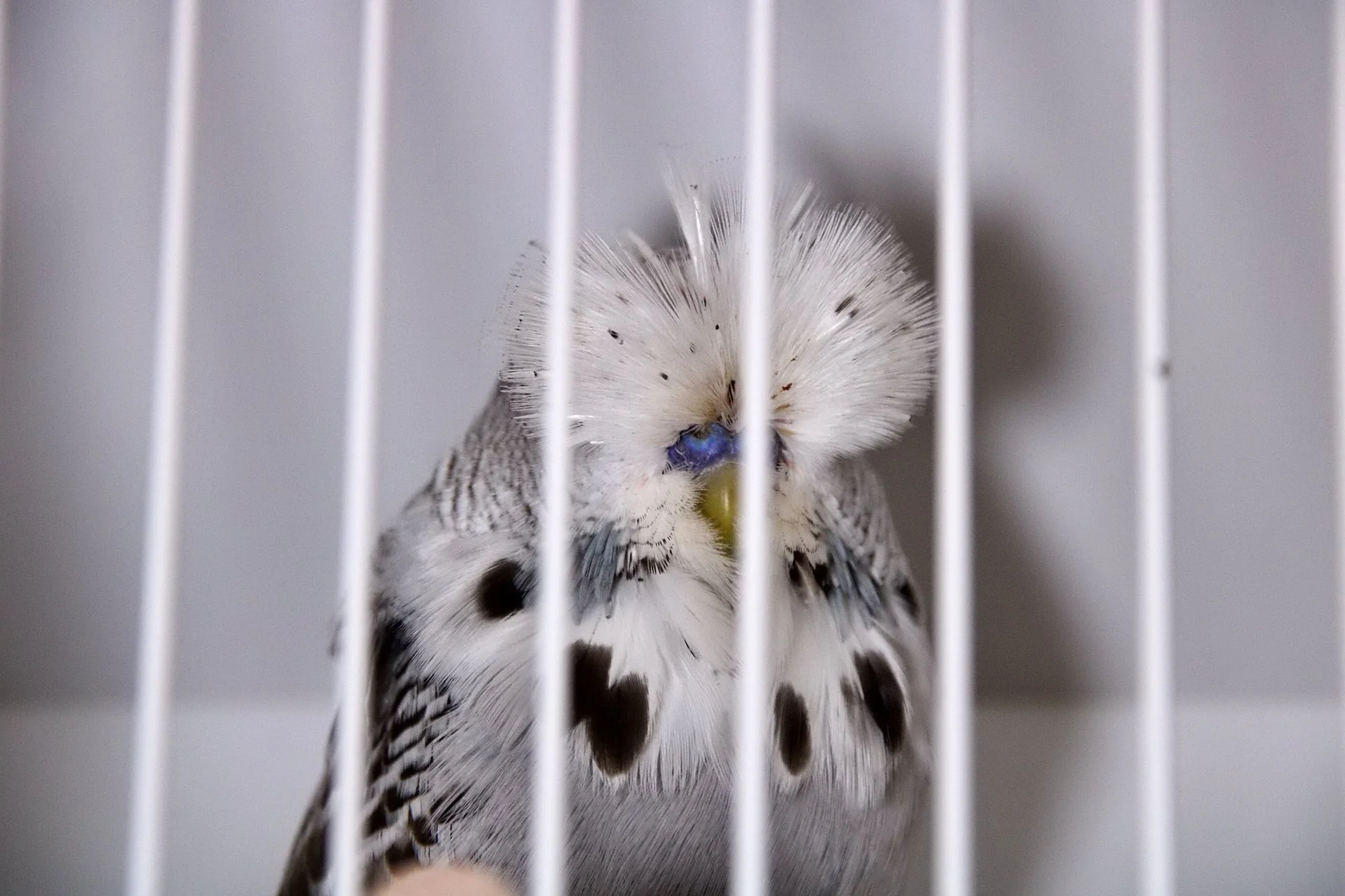 20241103 134051 MCBS Show 0628.JPG